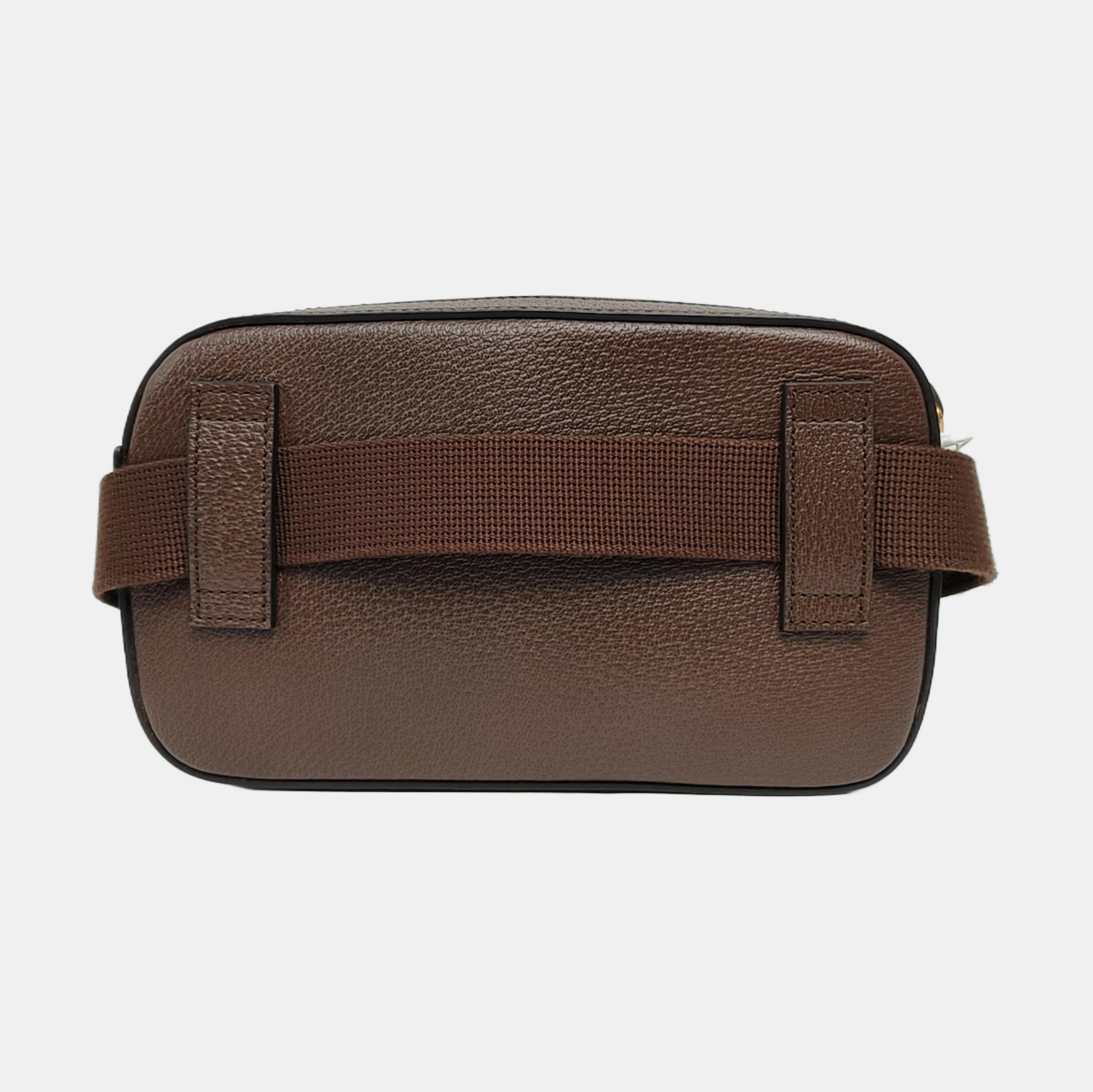 Coated Canvas Brown