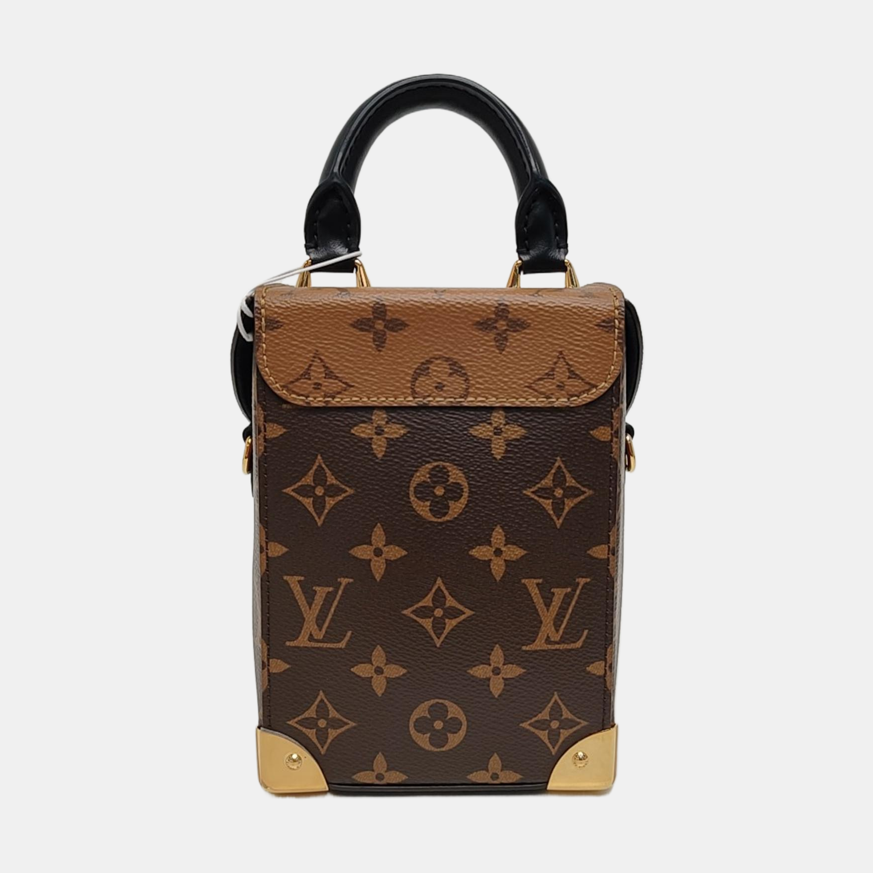 CAMERA BOX Monogram Coated Canvas Brown