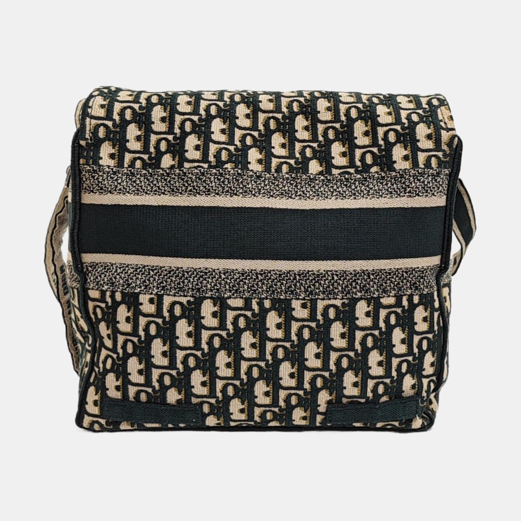 Diorcamp Large Canvas Green
