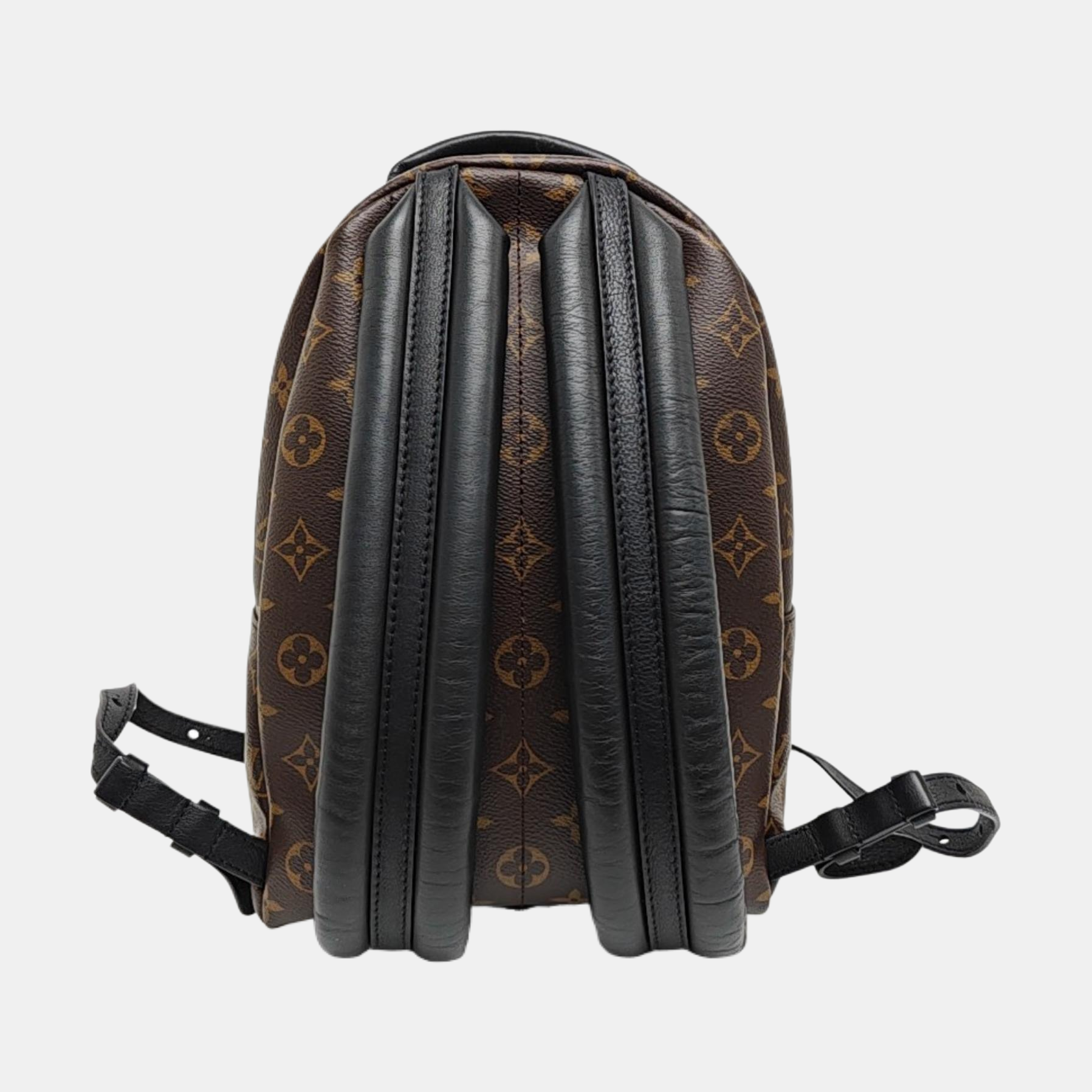 PALM SPRINGS PM Monogram Coated Canvas Brown