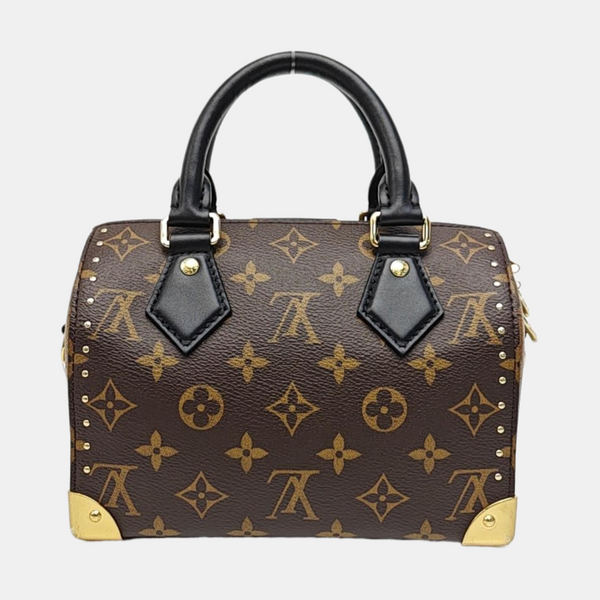 SPEEDY TRUNK 20 Monogram Coated Canvas Brown