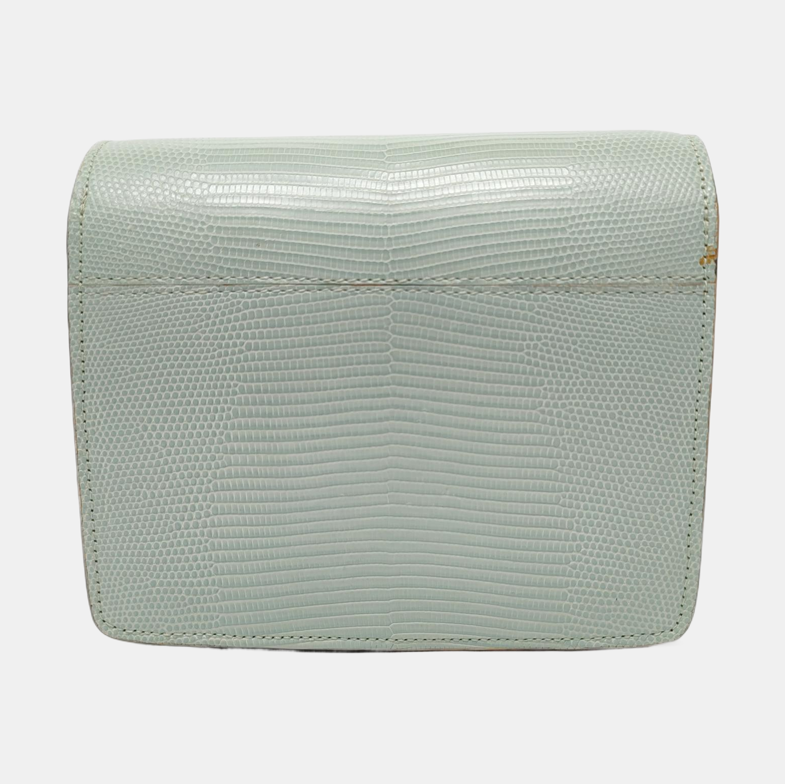 CLASSIC BOX Mini Lizard Green
