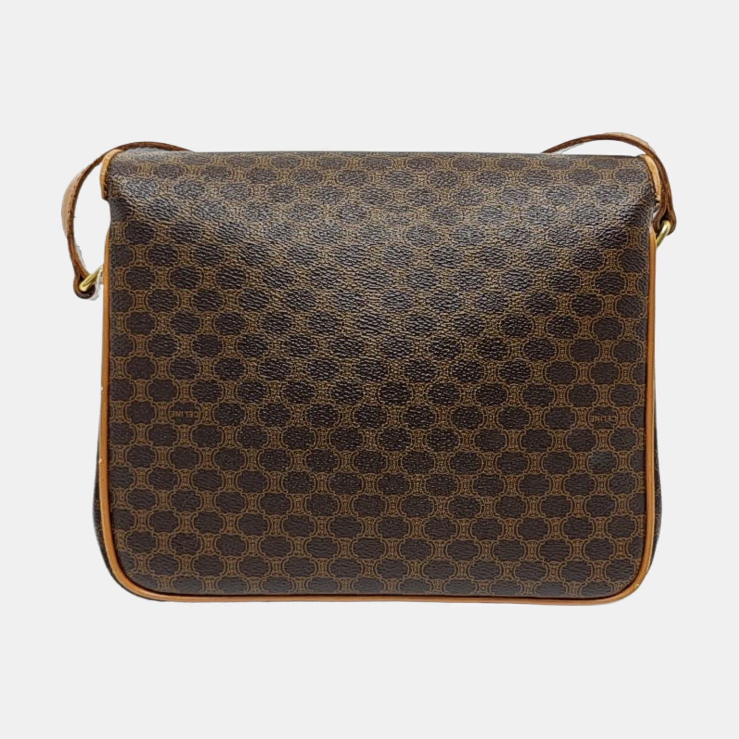 Coated Canvas Brown