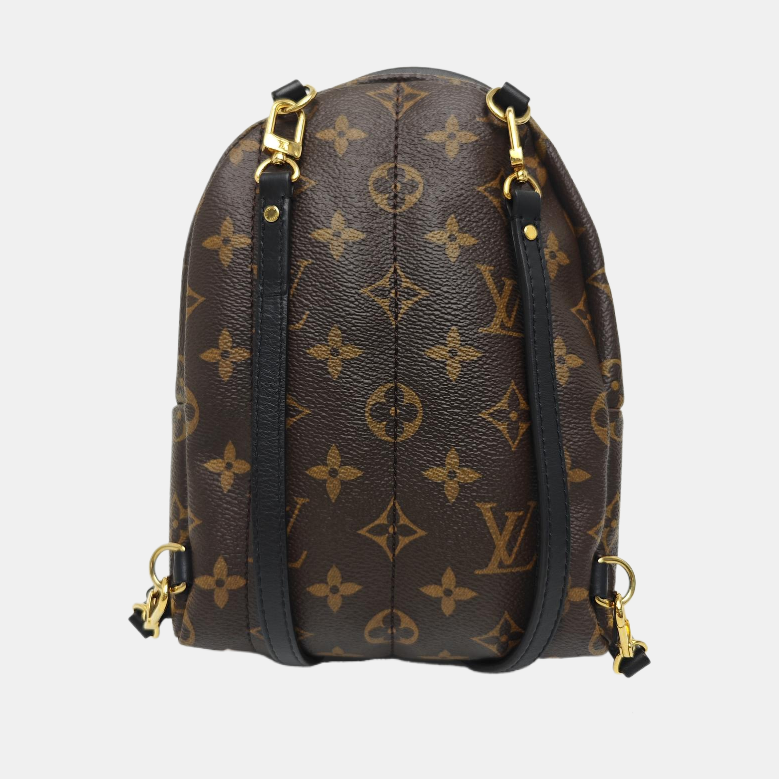 PALM SPRINGS Mini Monogram Coated Canvas Brown