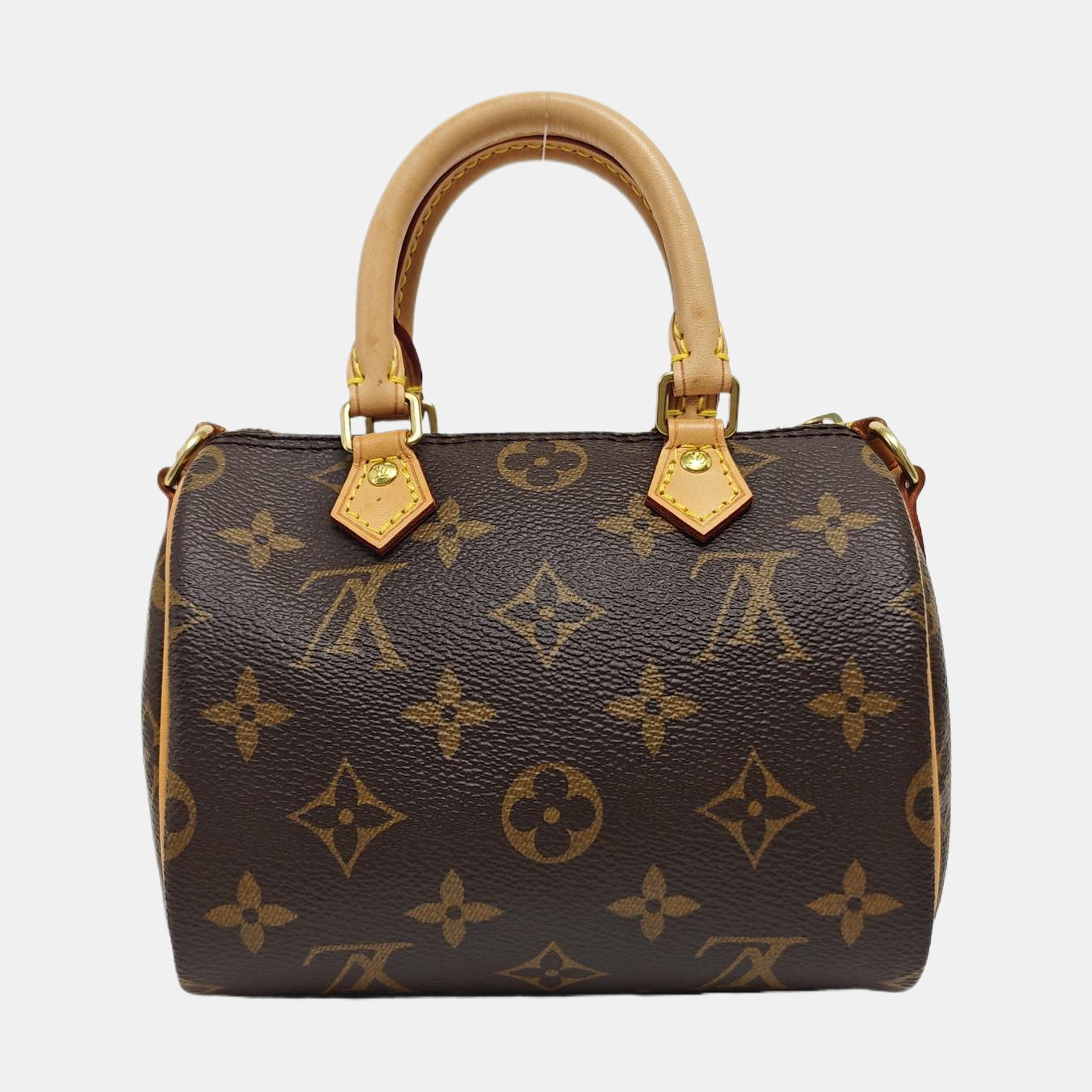 SPEEDY Nano Monogram Coated Canvas Brown