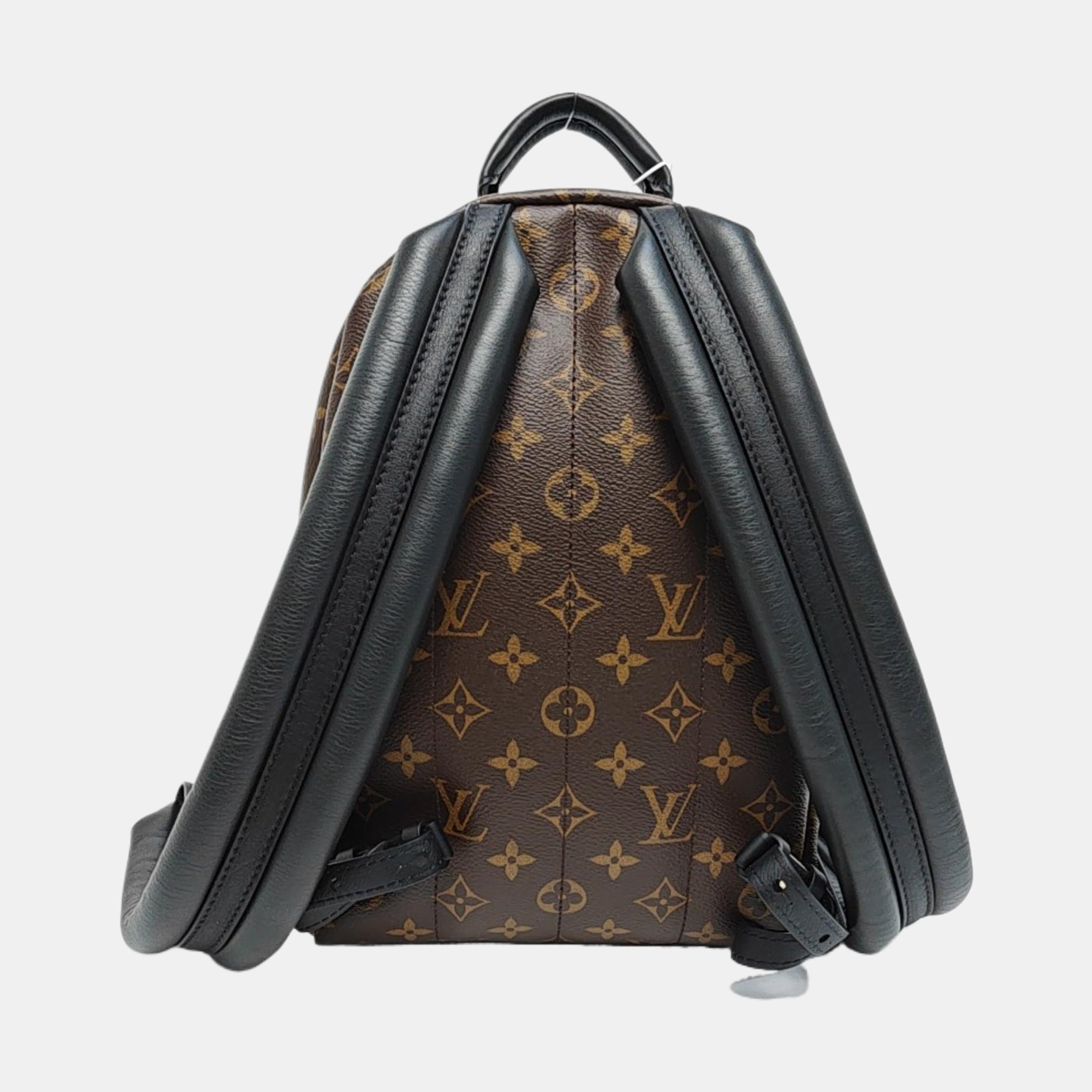 PALM SPRINGS PM Monogram Coated Canvas Brown