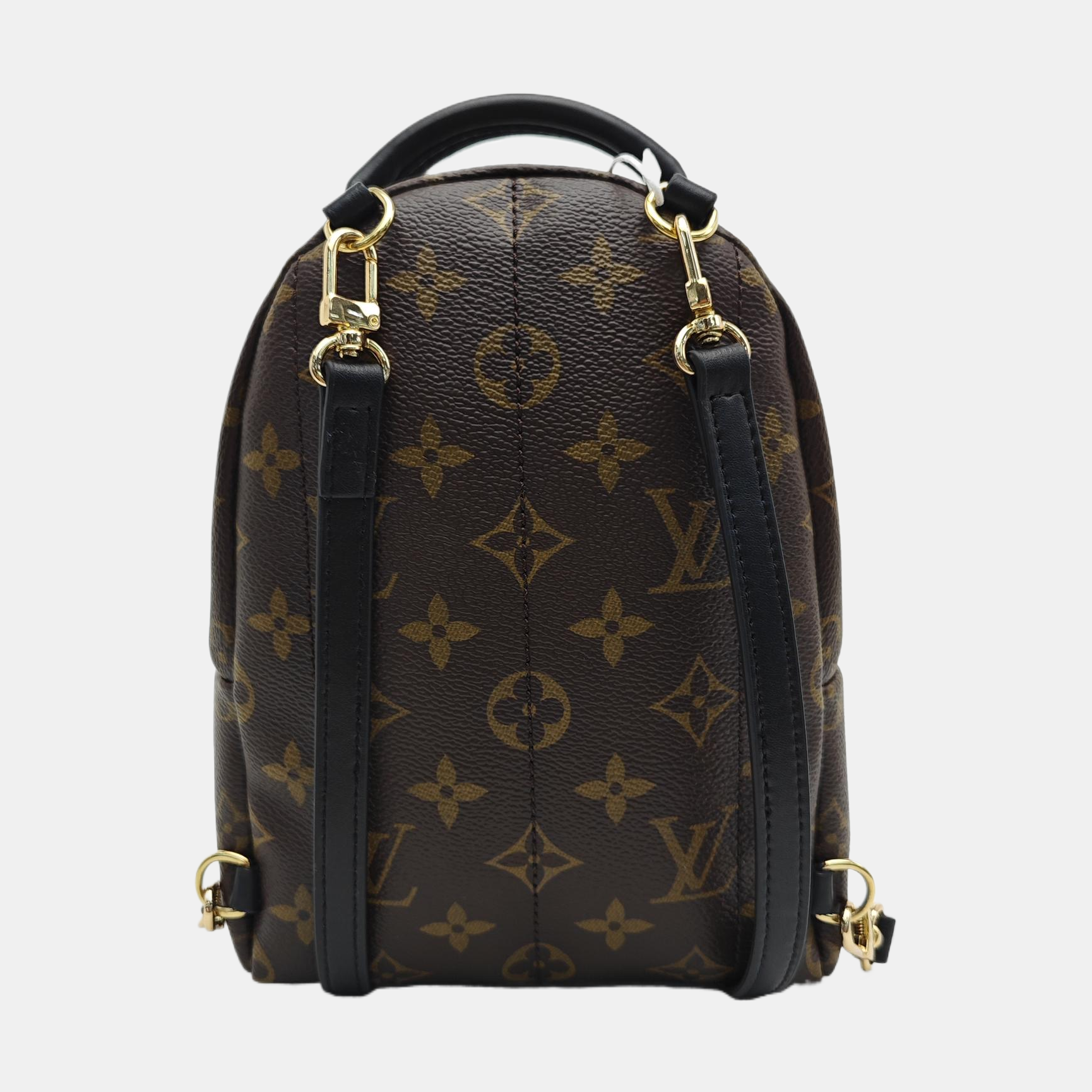PALM SPRINGS Mini Monogram Coated Canvas Brown