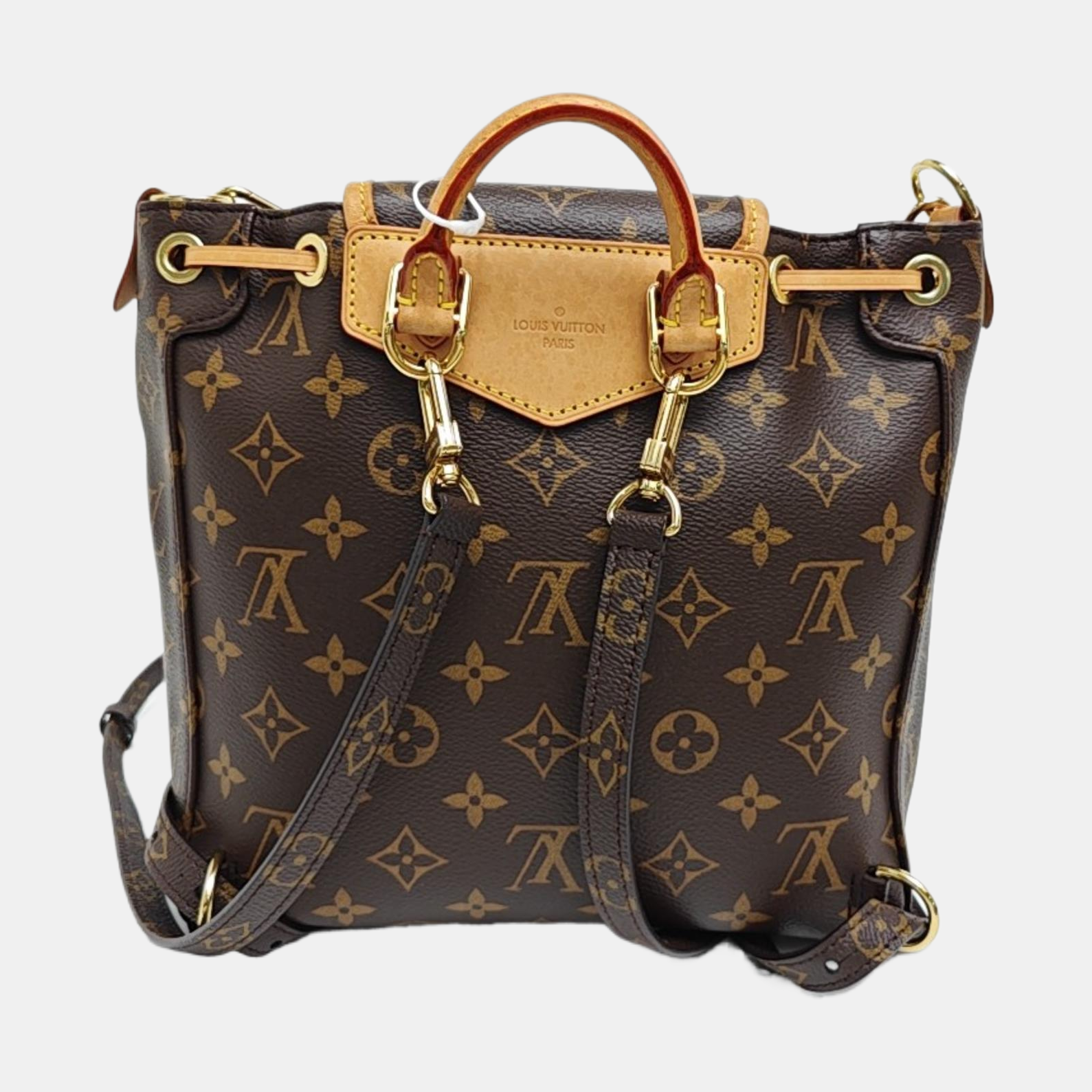 EXCURSION PM Monogram Coated Canvas Brown