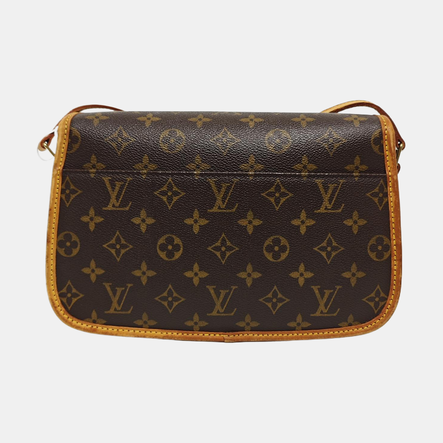 SOLOGNE PM Monogram Coated Canvas Brown