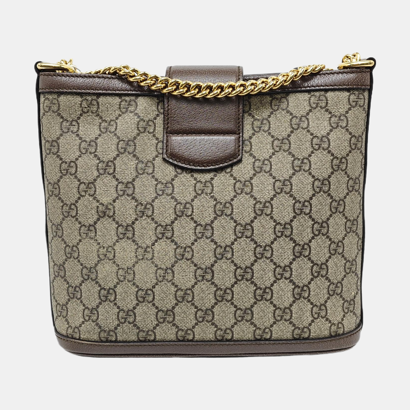 Dionysus Medium Monogram Coated Canvas Beige