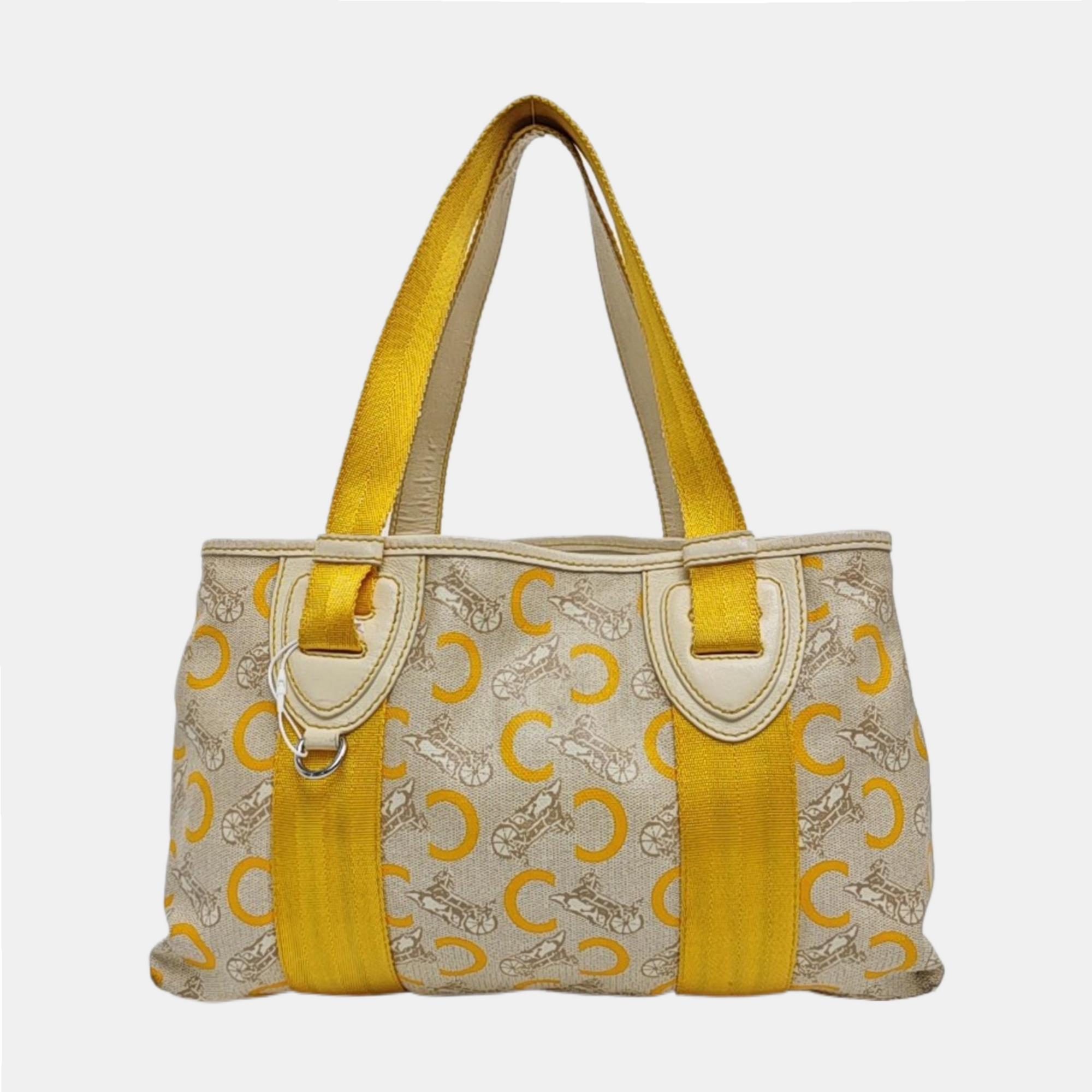 Coated Canvas Beige