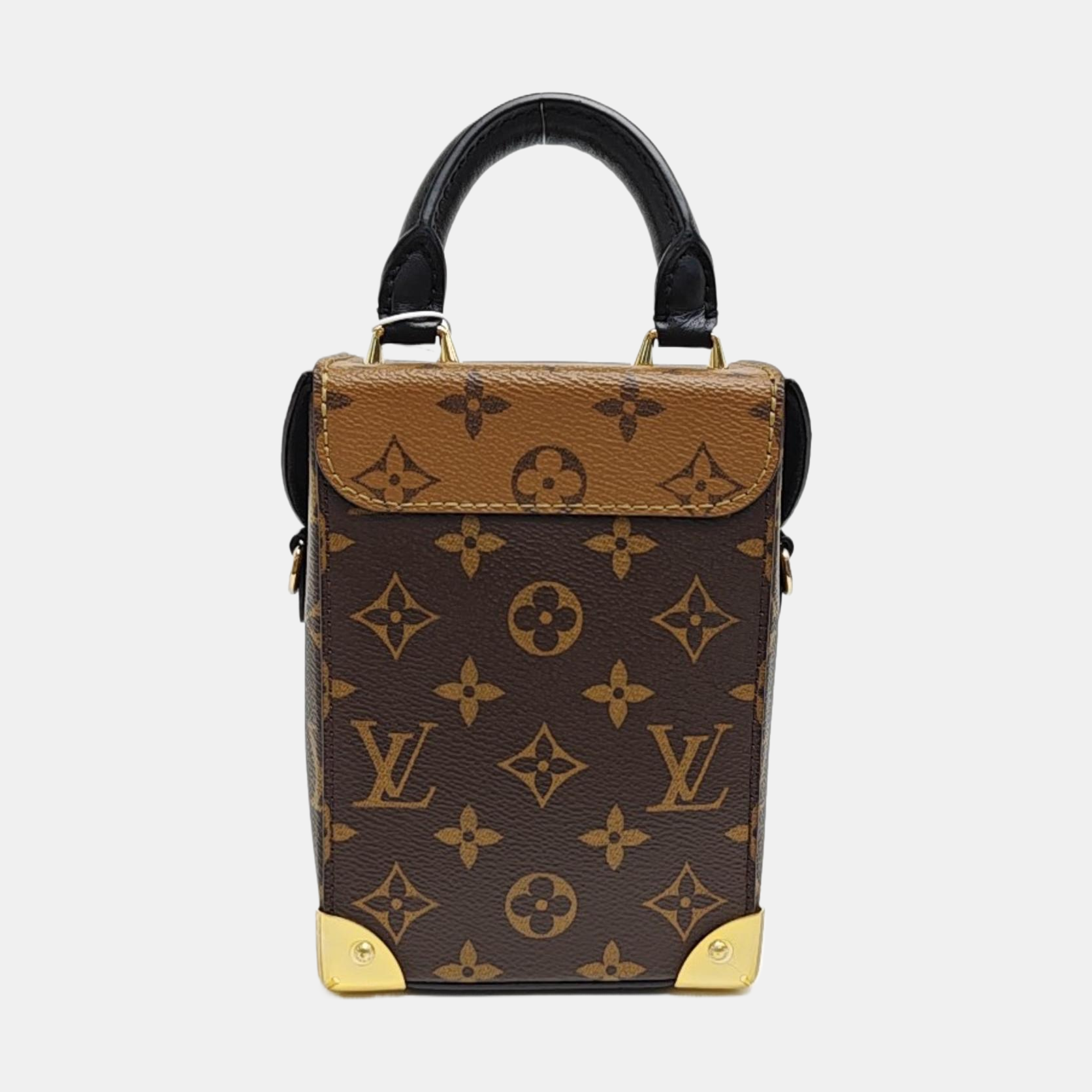 CAMERA BOX Monogram Coated Canvas Brown