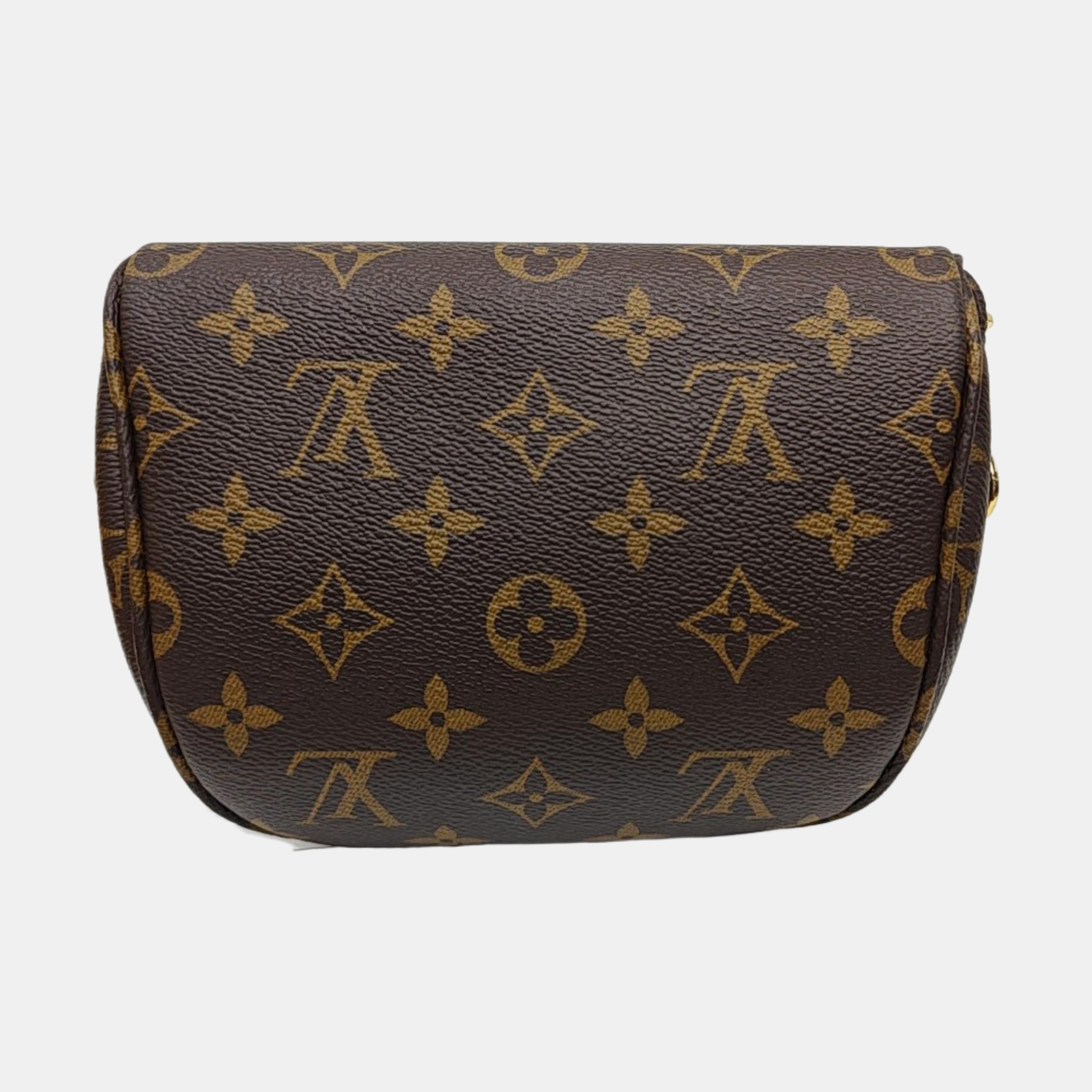 BUMBAG Mini Monogram Coated Canvas Brown