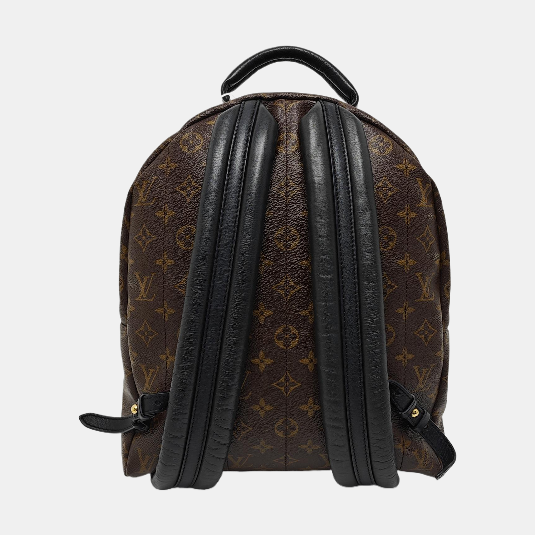 PALM SPRINGS MM Monogram Coated Canvas Brown