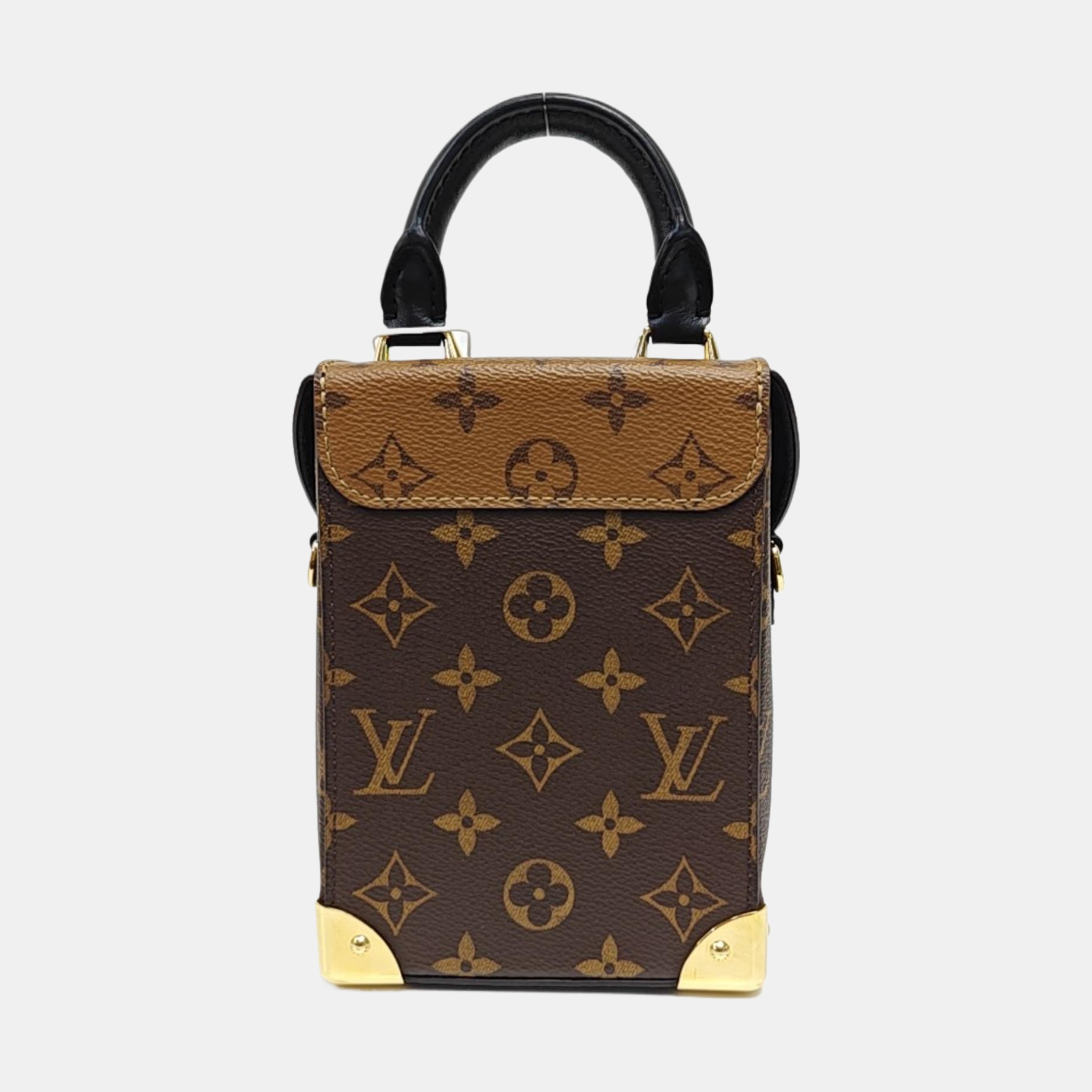 CAMERA BOX Monogram Coated Canvas Brown