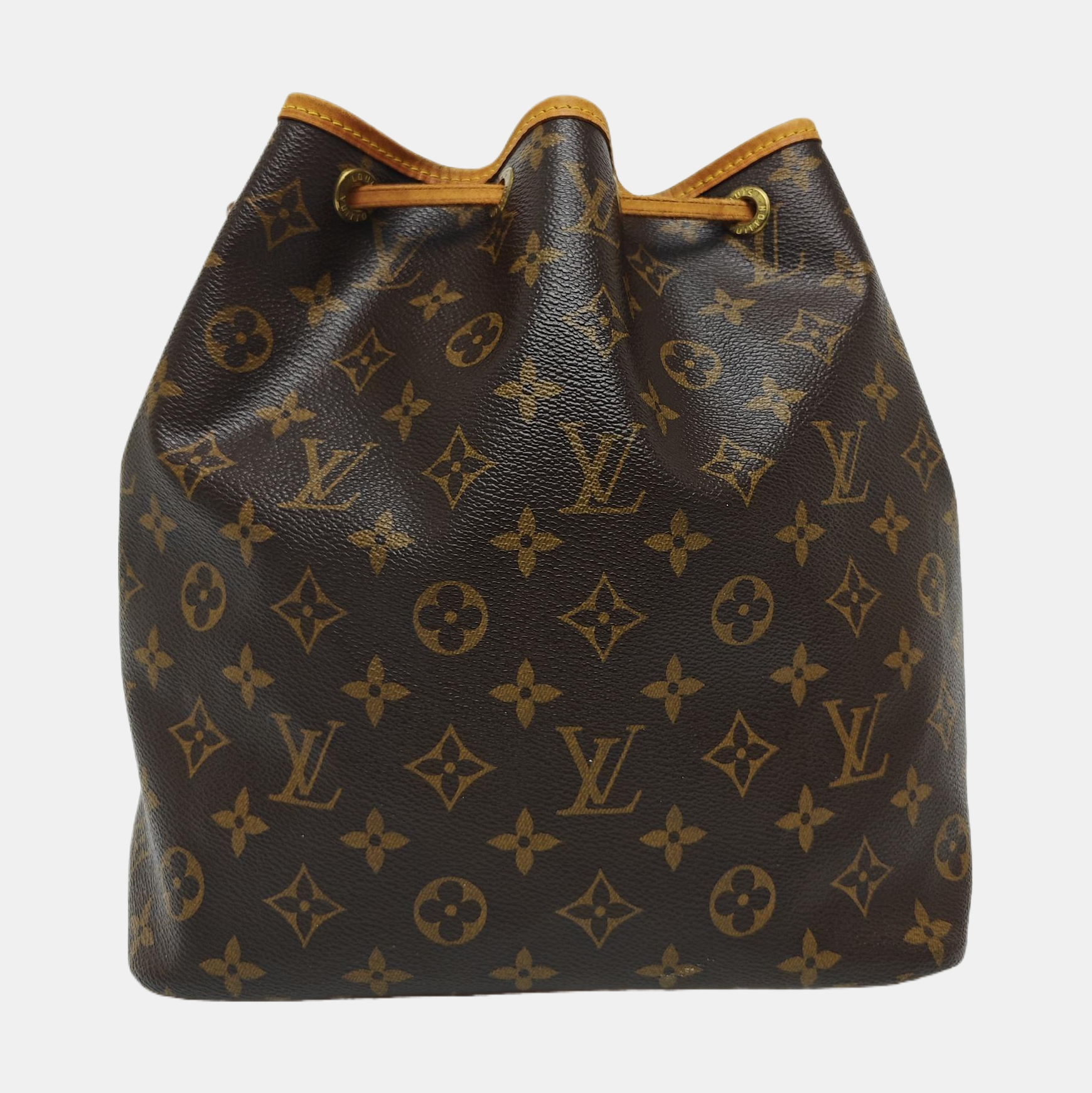 NÉONOÉ PM Monogram Coated Canvas Brown