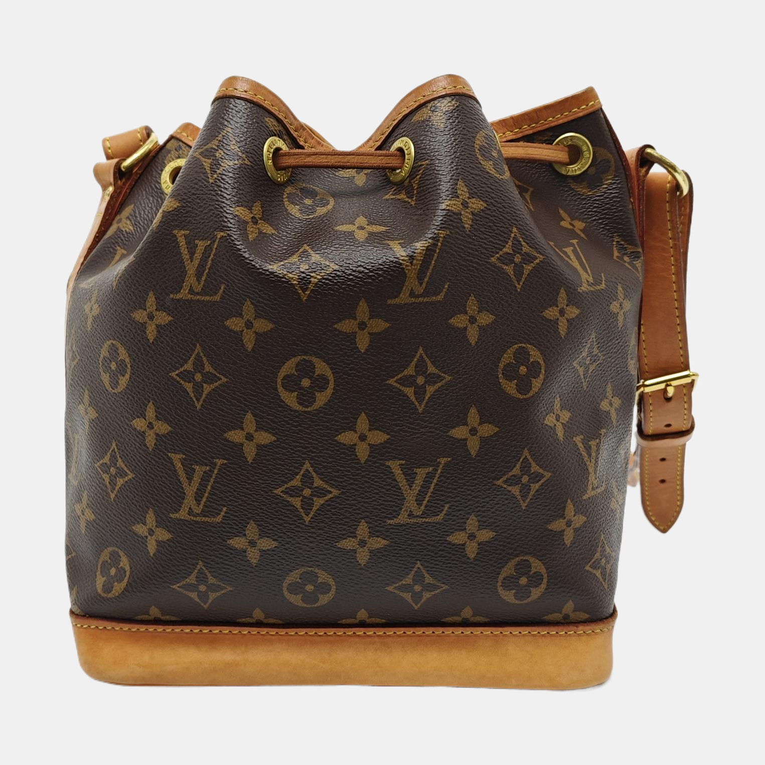 NOÉ BB Monogram Coated Canvas Brown