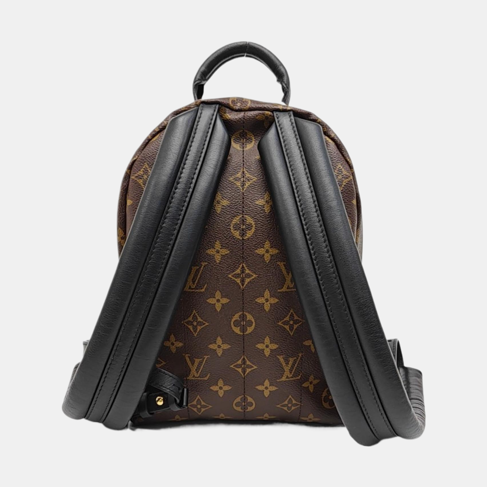 PALM SPRINGS PM Monogram Coated Canvas Brown