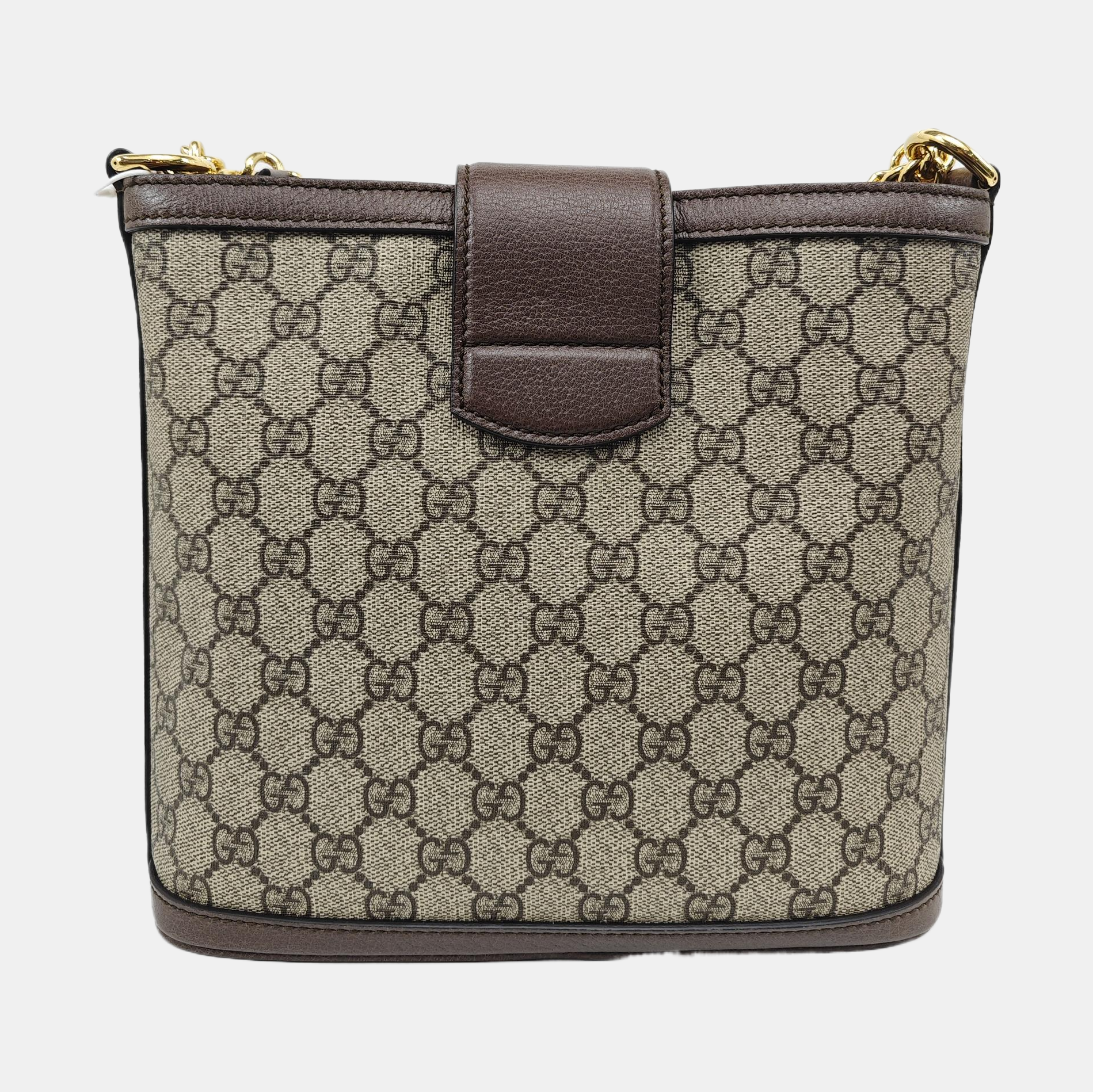 Dionysus Medium Monogram Coated Canvas Beige