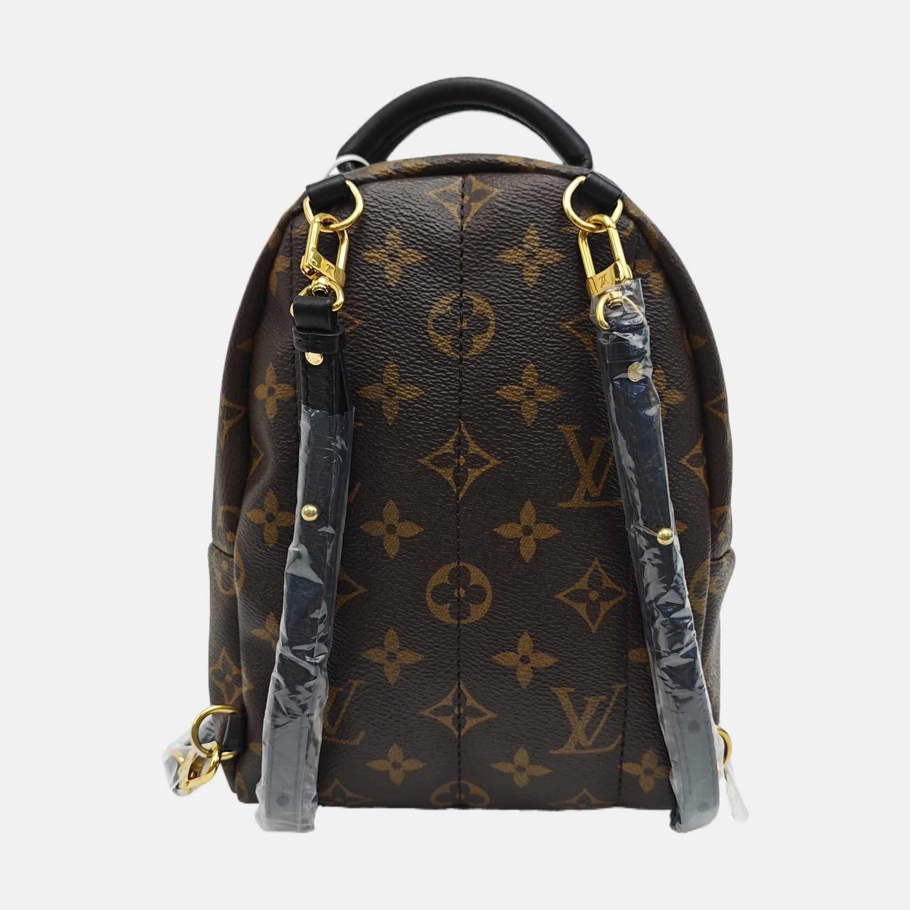 PALM SPRINGS Mini Monogram Coated Canvas Brown