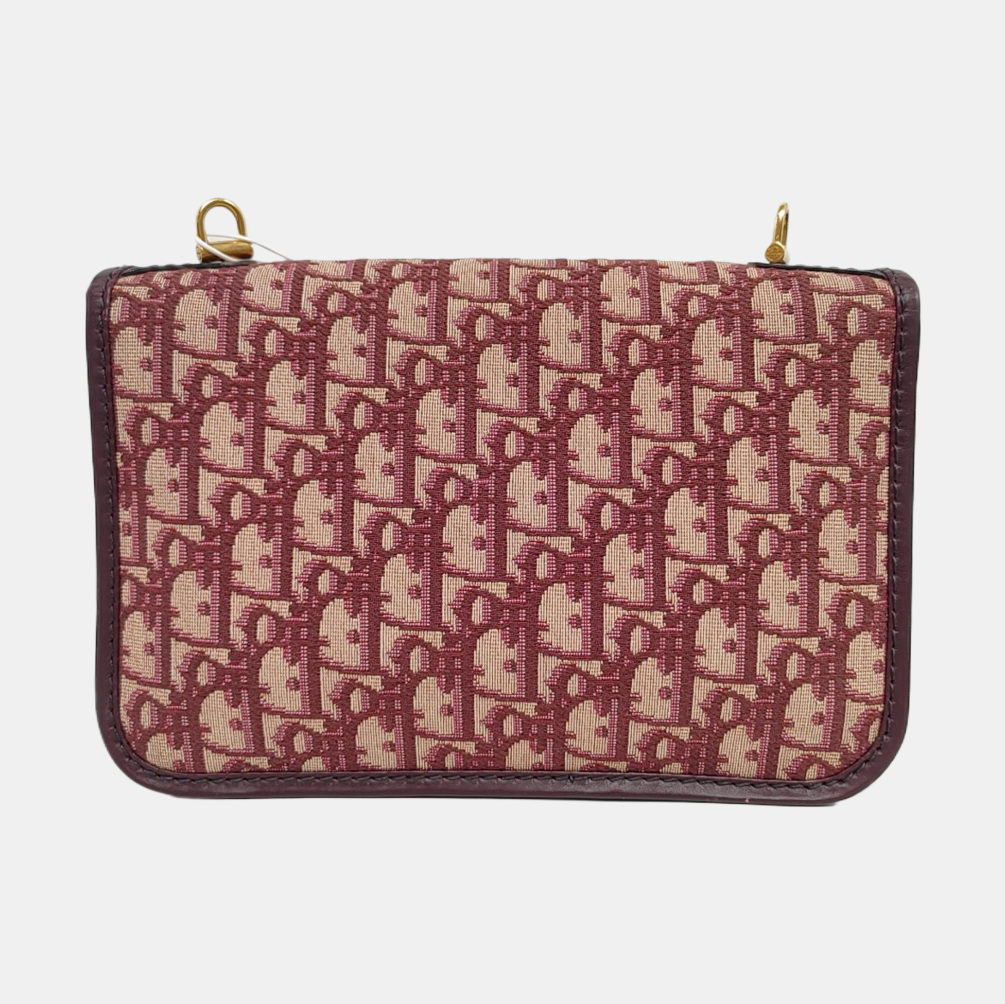 Dioraddict Oblique Canvas Red