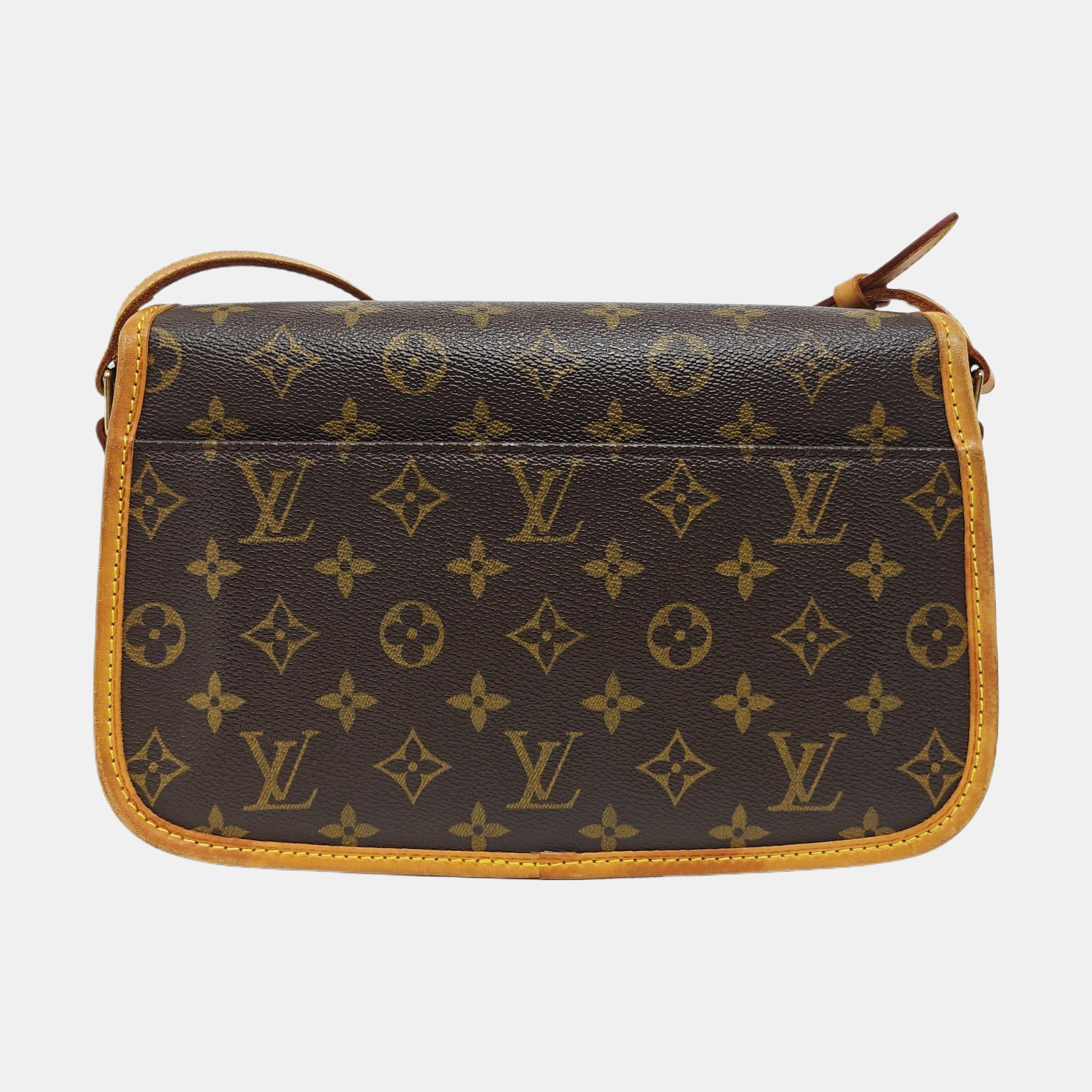 SOLOGNE PM Monogram Coated Canvas Brown