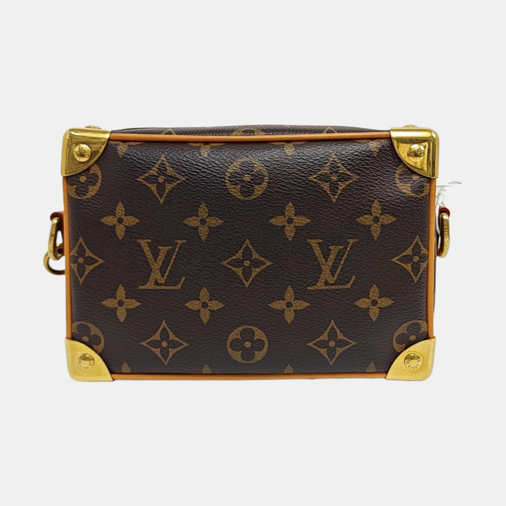 SOFT TRUNK Mini Monogram Coated Canvas Brown