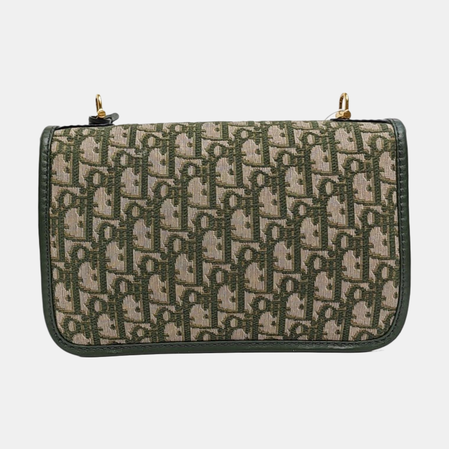 Dioraddict Oblique Canvas Green