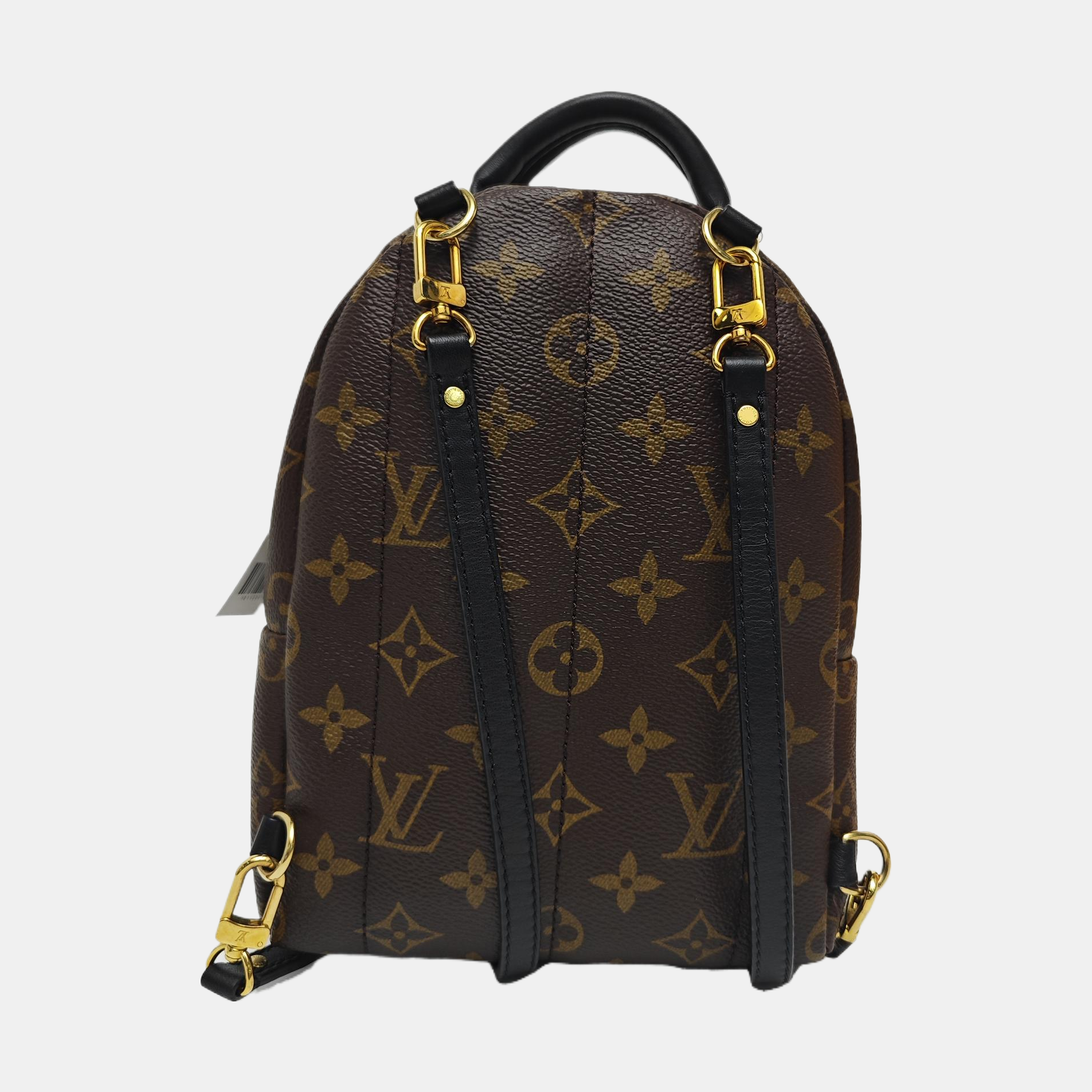 PALM SPRINGS Mini Monogram Coated Canvas Brown