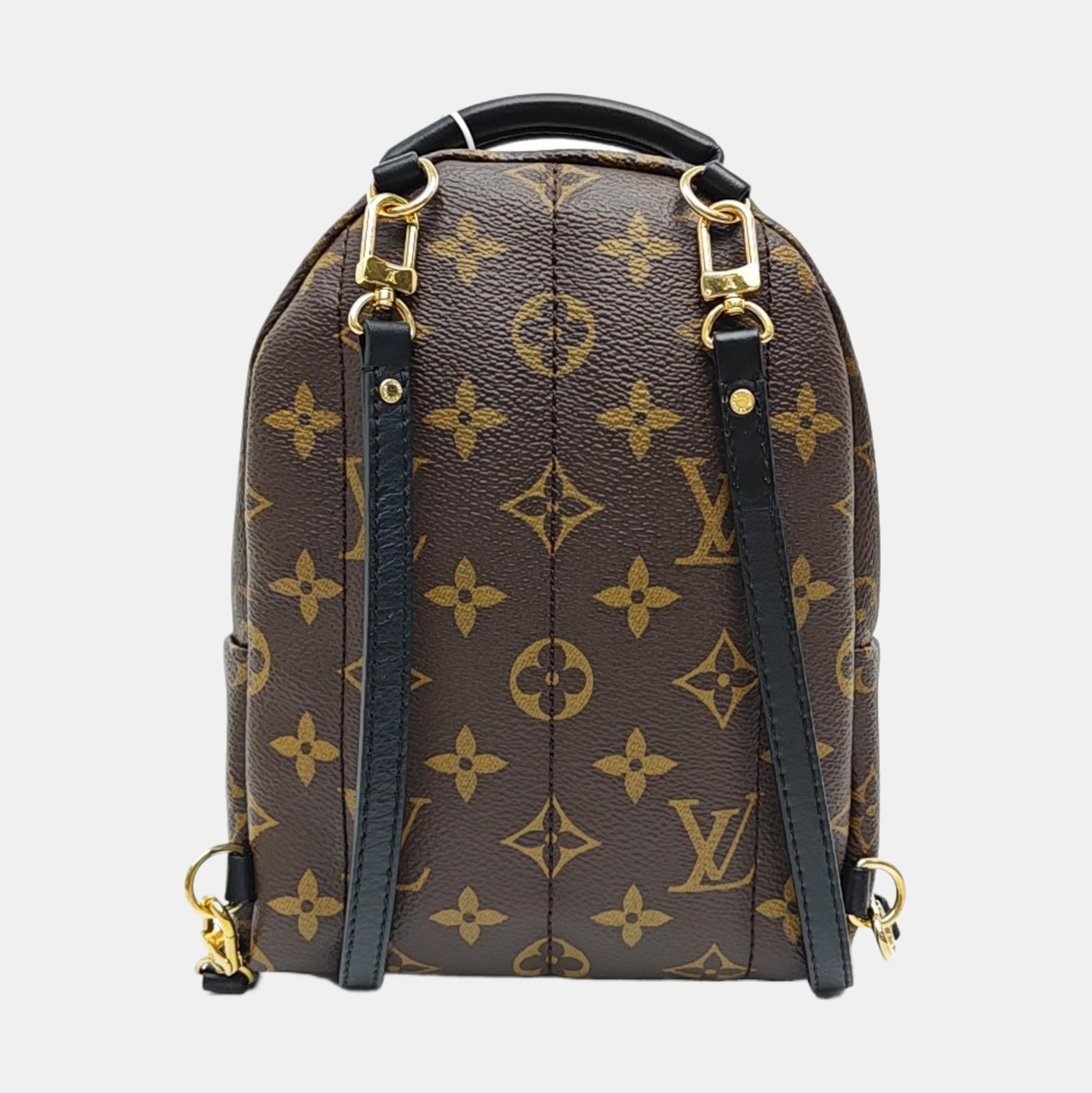 PALM SPRINGS Mini Monogram Coated Canvas Brown