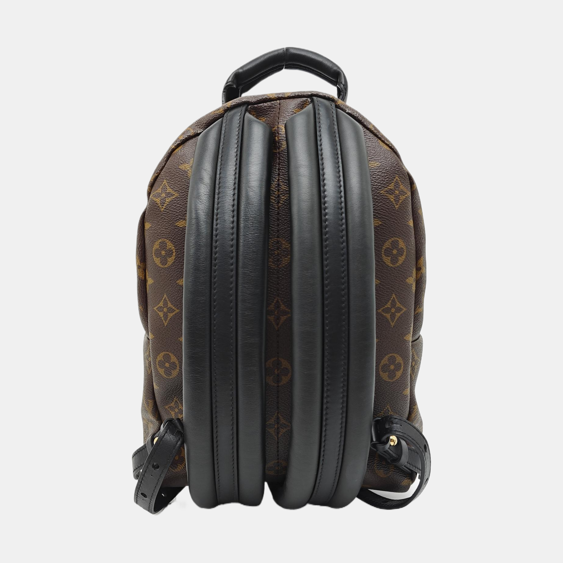 PALM SPRINGS PM Monogram Coated Canvas Brown