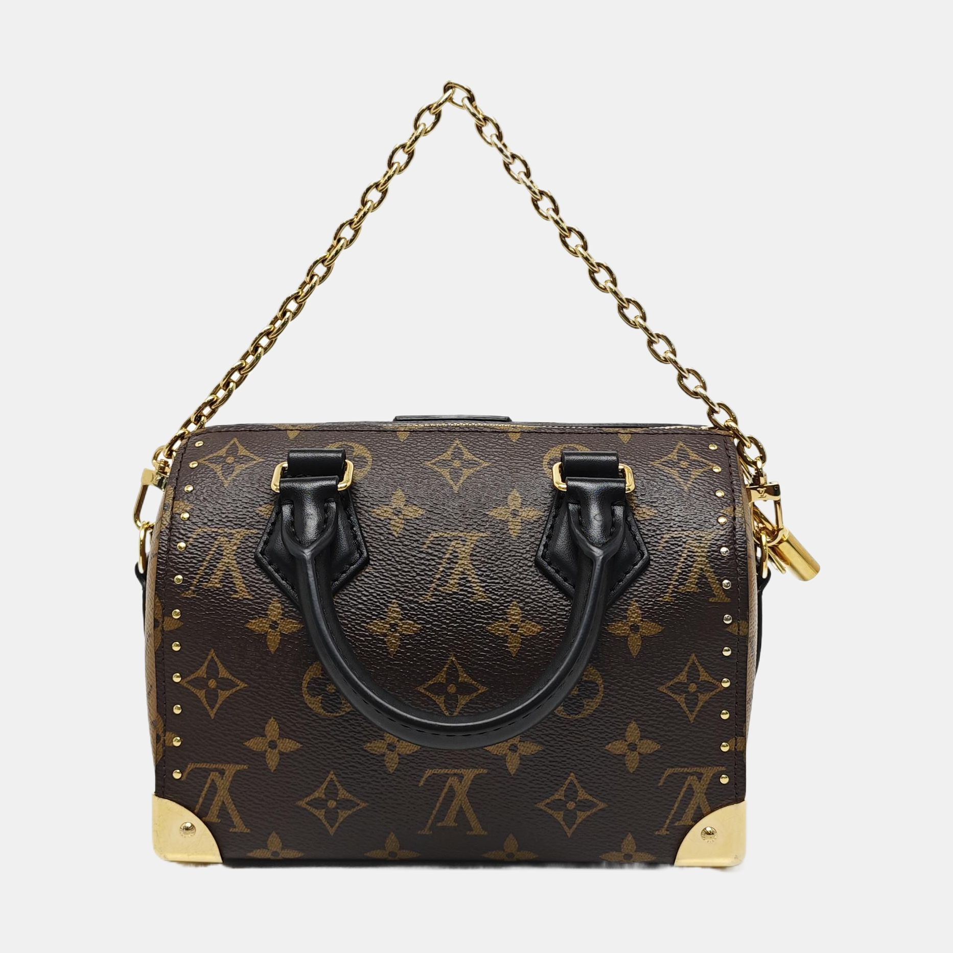SPEEDY TRUNK 20 Monogram Coated Canvas Brown