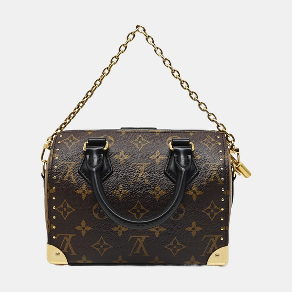 SPEEDY TRUNK 20 Monogram Coated Canvas Brown