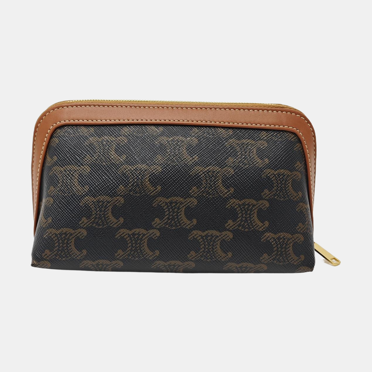 TRIOMPHE CANVAS Mini Coated Canvas Brown
