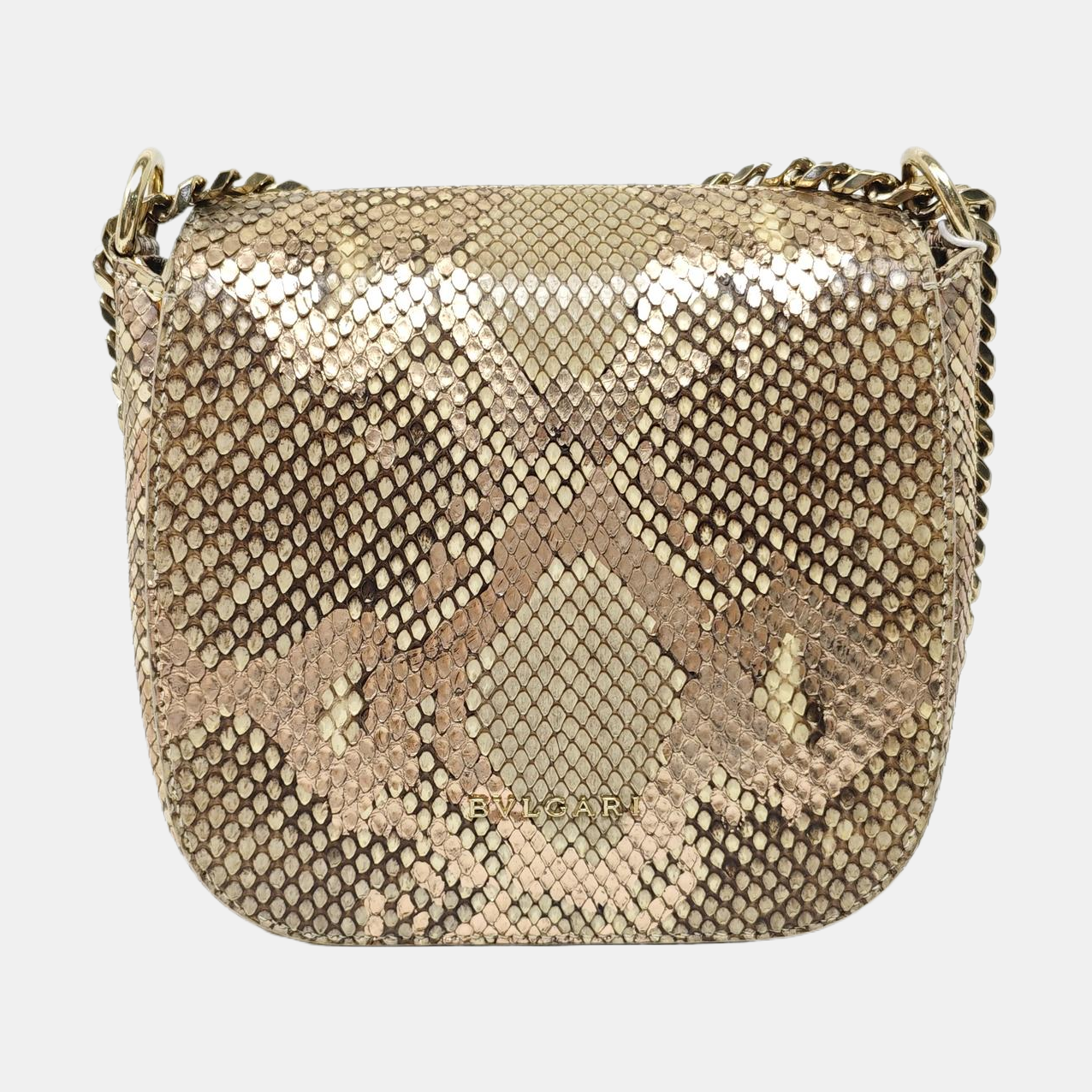 DIVAS' DREAM Python Multicolor