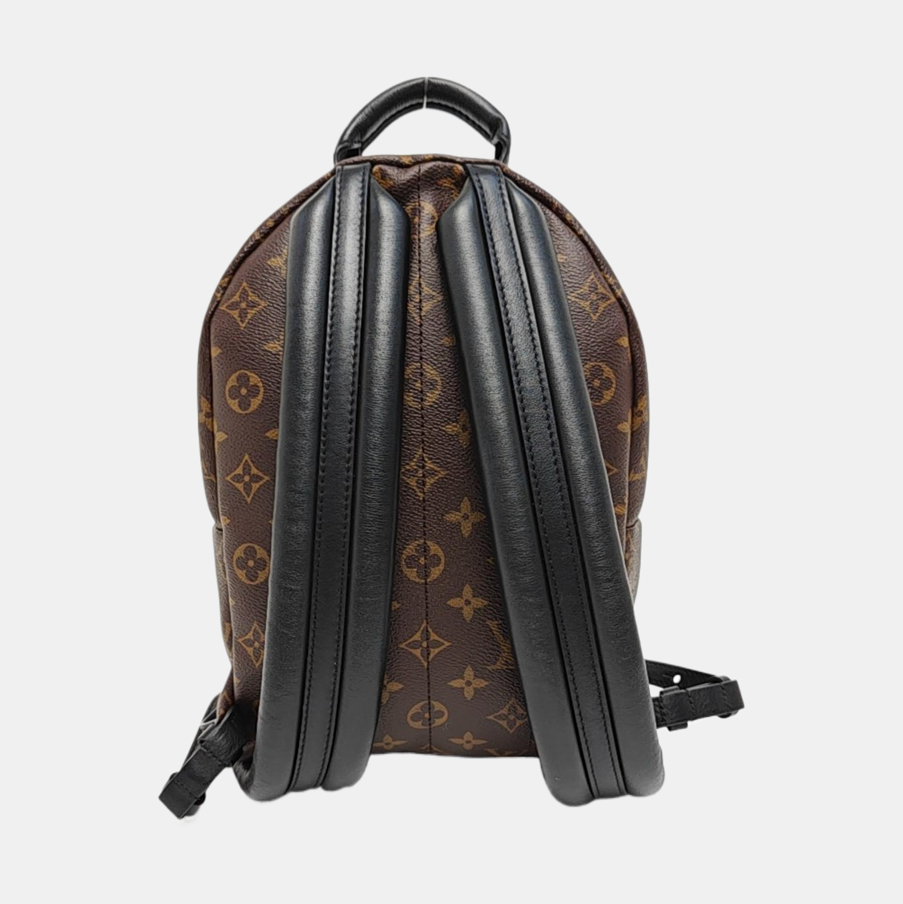 PALM SPRINGS PM Monogram Coated Canvas Brown