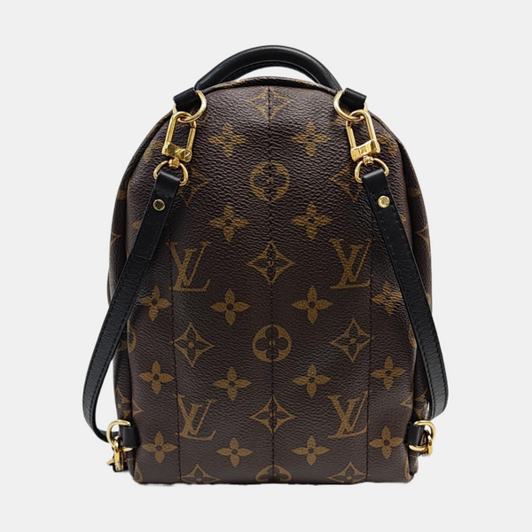 PALM SPRINGS Mini Monogram Coated Canvas Brown