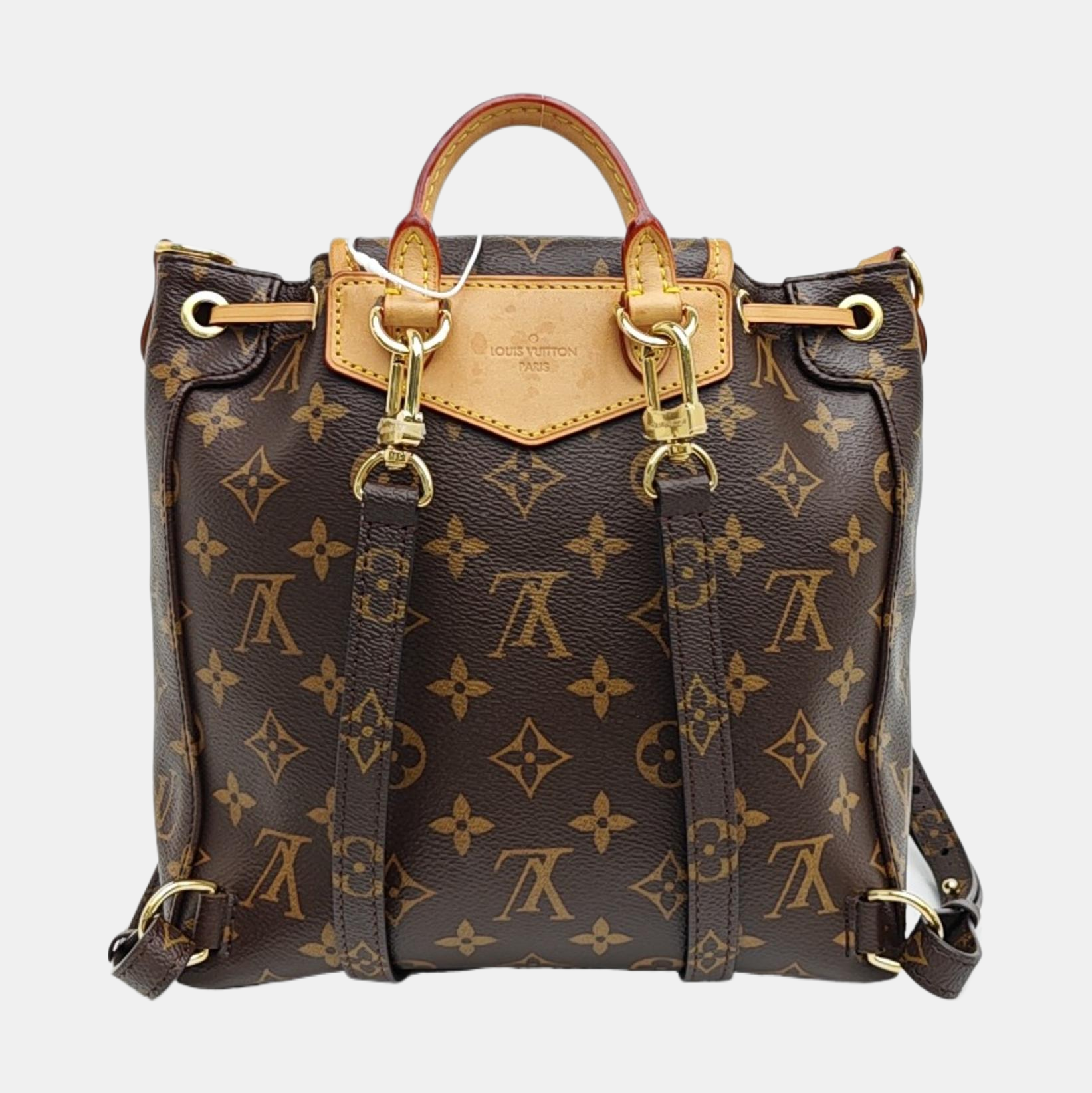 EXCURSION PM Monogram Coated Canvas Brown