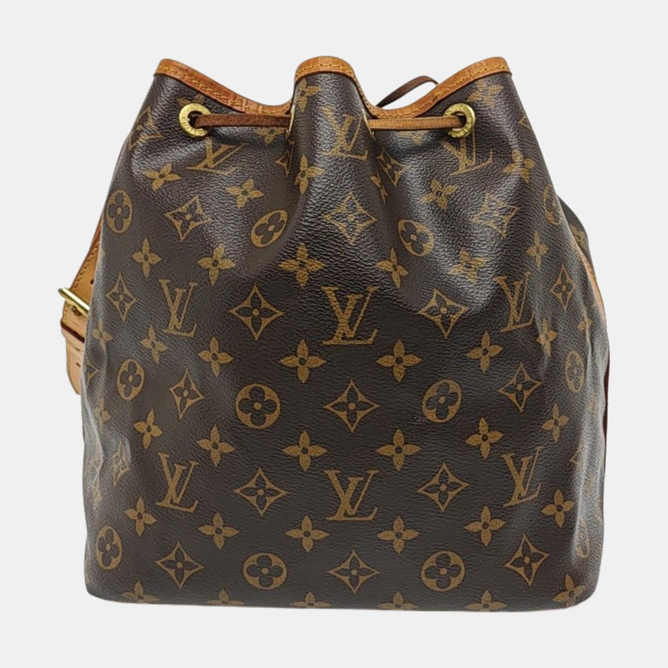 NÉONOÉ PM Monogram Coated Canvas Brown