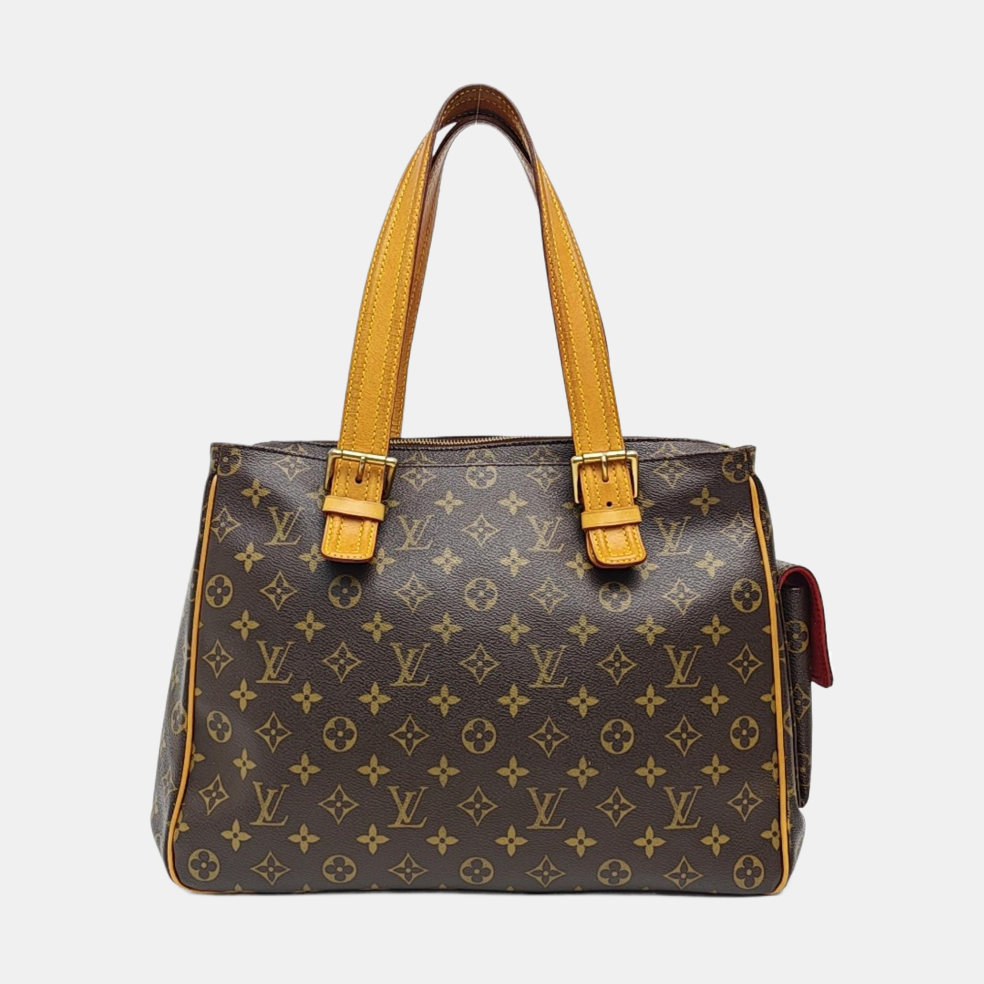 MULTIPLE Monogram Coated Canvas Brown