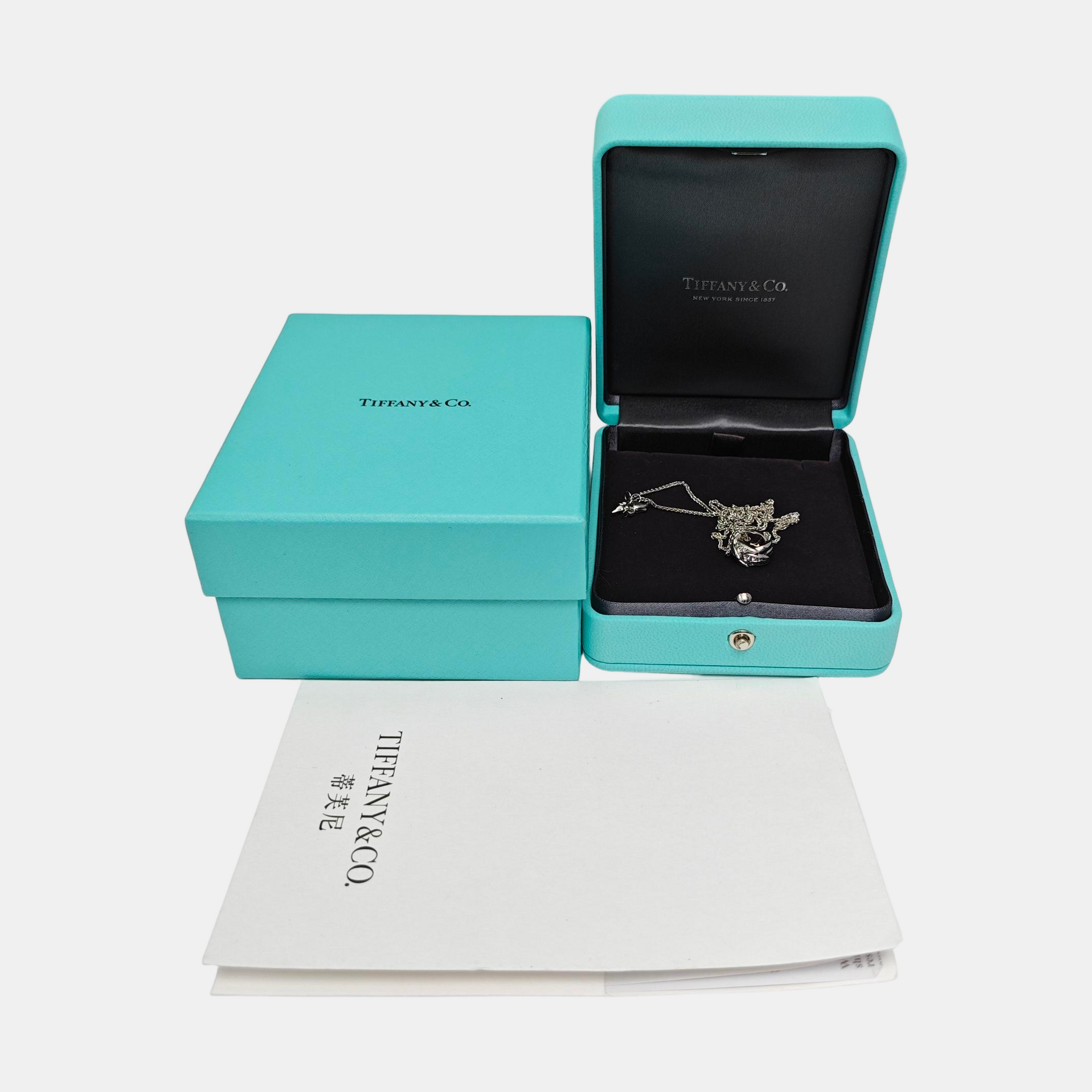 Platinum 950 Silver Necklace