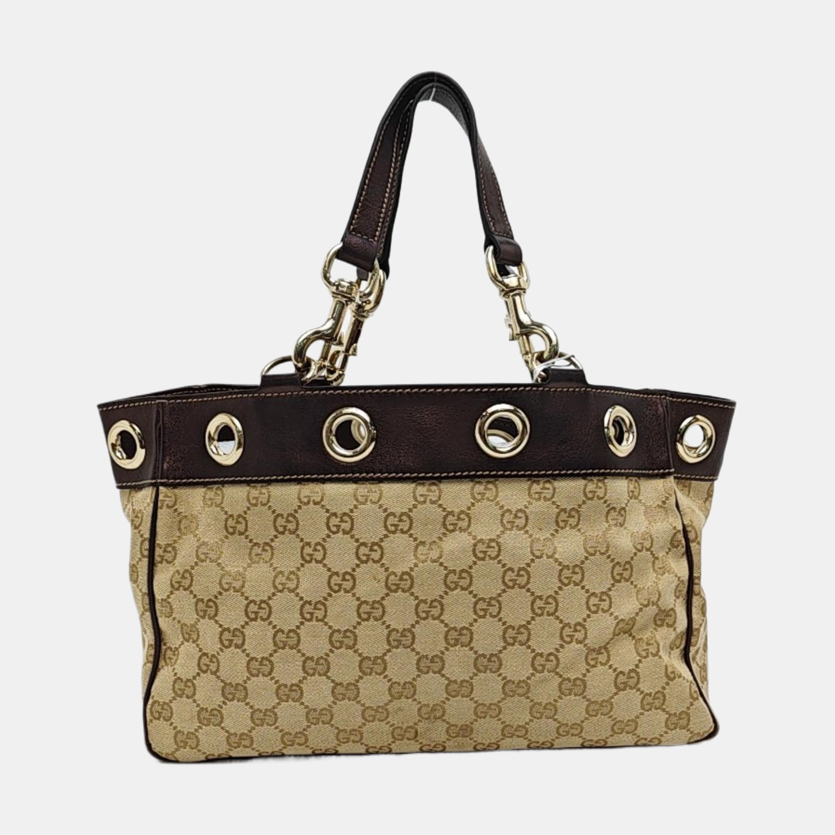 Positano Monogram Canvas Brown