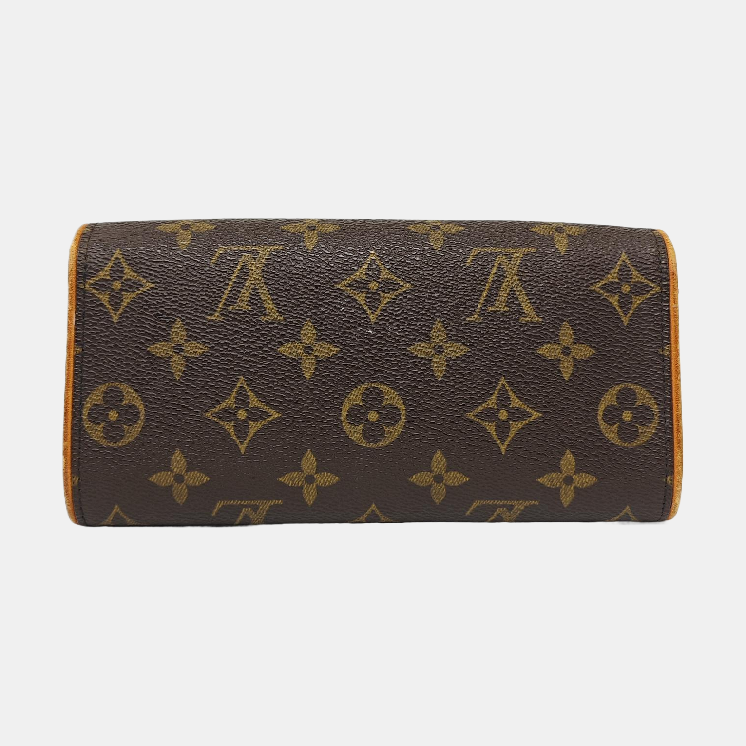 TWIN PM Monogram Coated Canvas Brown