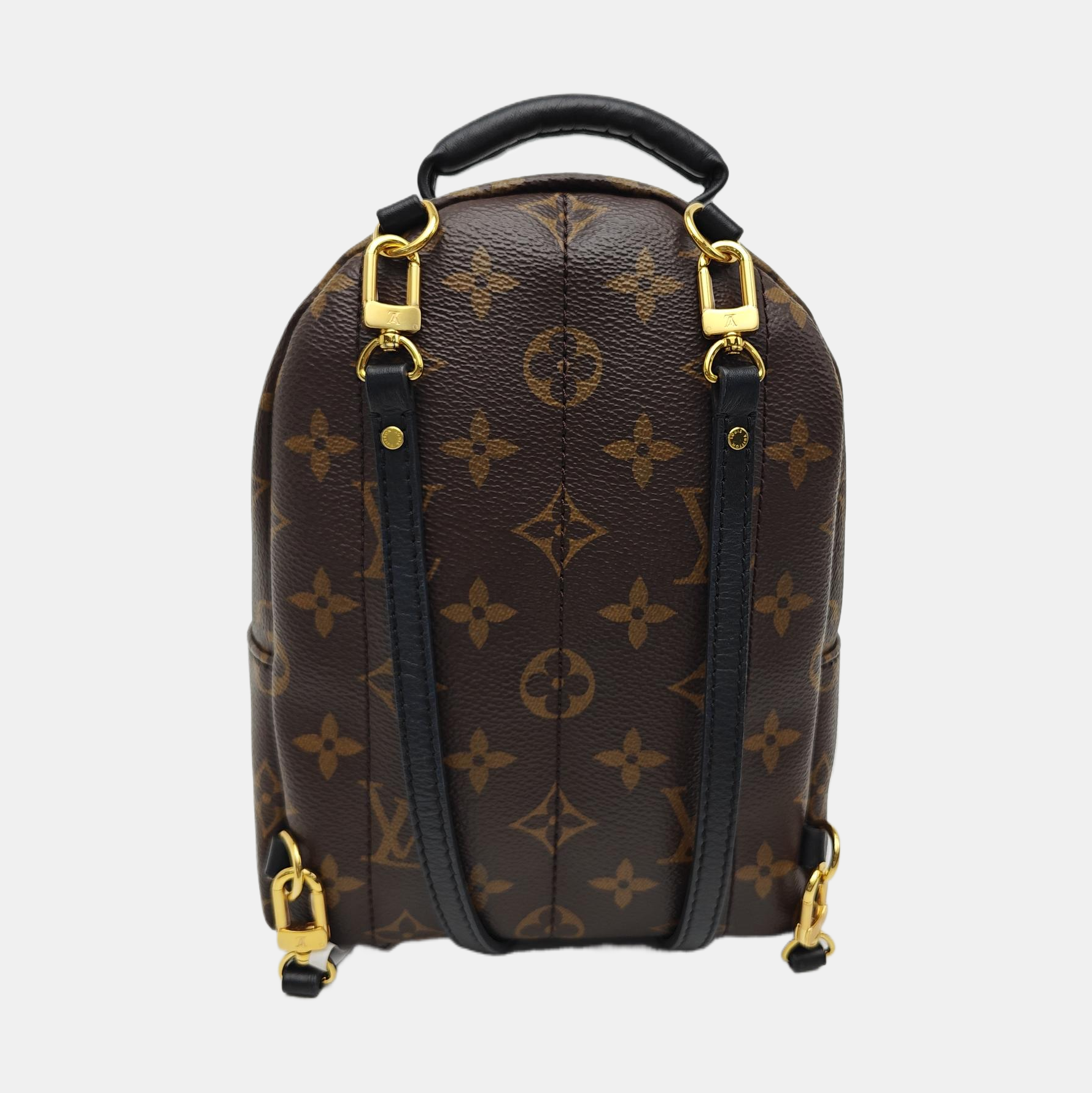 PALM SPRINGS Mini Monogram Coated Canvas Brown