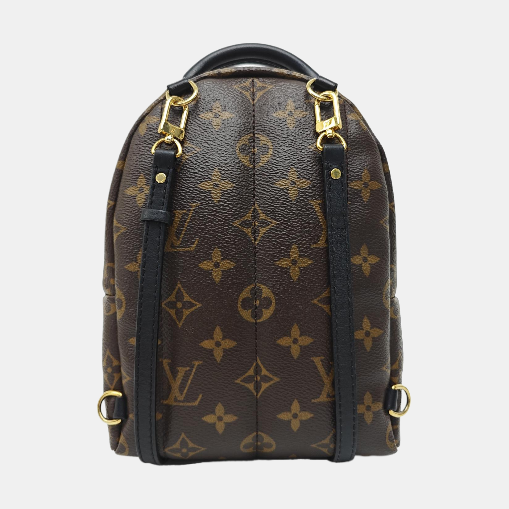 PALM SPRINGS Mini Monogram Coated Canvas Brown