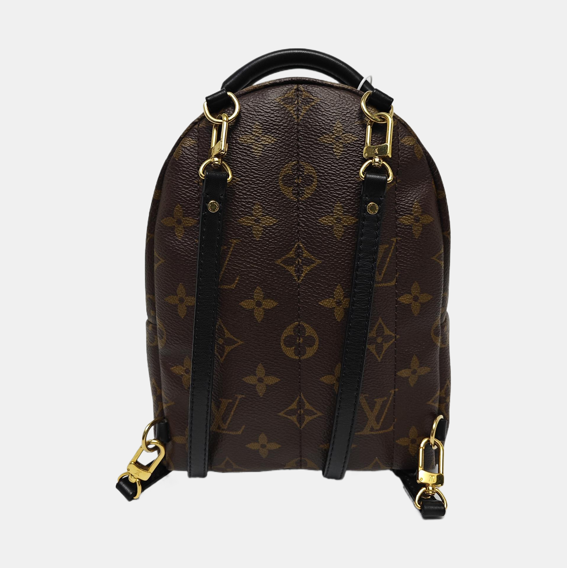 PALM SPRINGS Mini Monogram Coated Canvas Brown