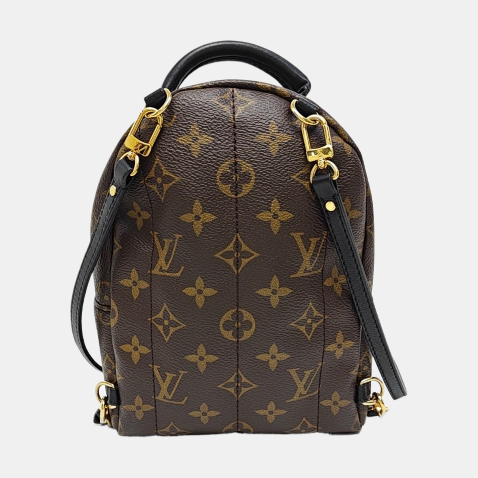 PALM SPRINGS Mini Monogram Coated Canvas Brown