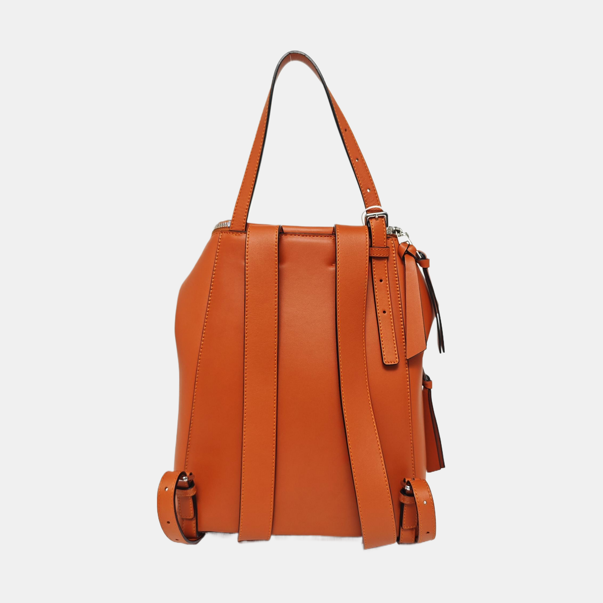 Goya Small Calfskin Orange