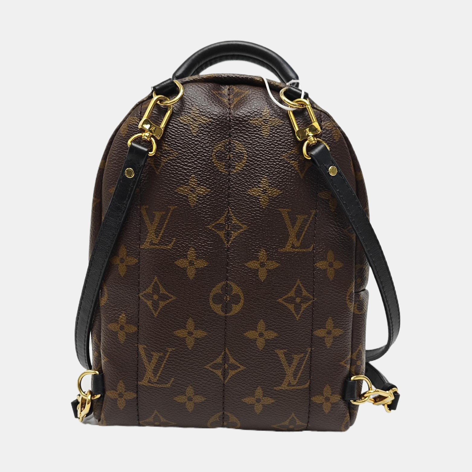 PALM SPRINGS Mini Monogram Coated Canvas Brown
