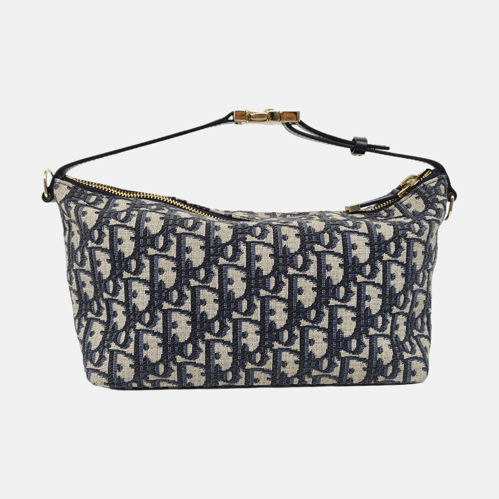 Diortravel Nomad Medium Oblique Canvas Beige